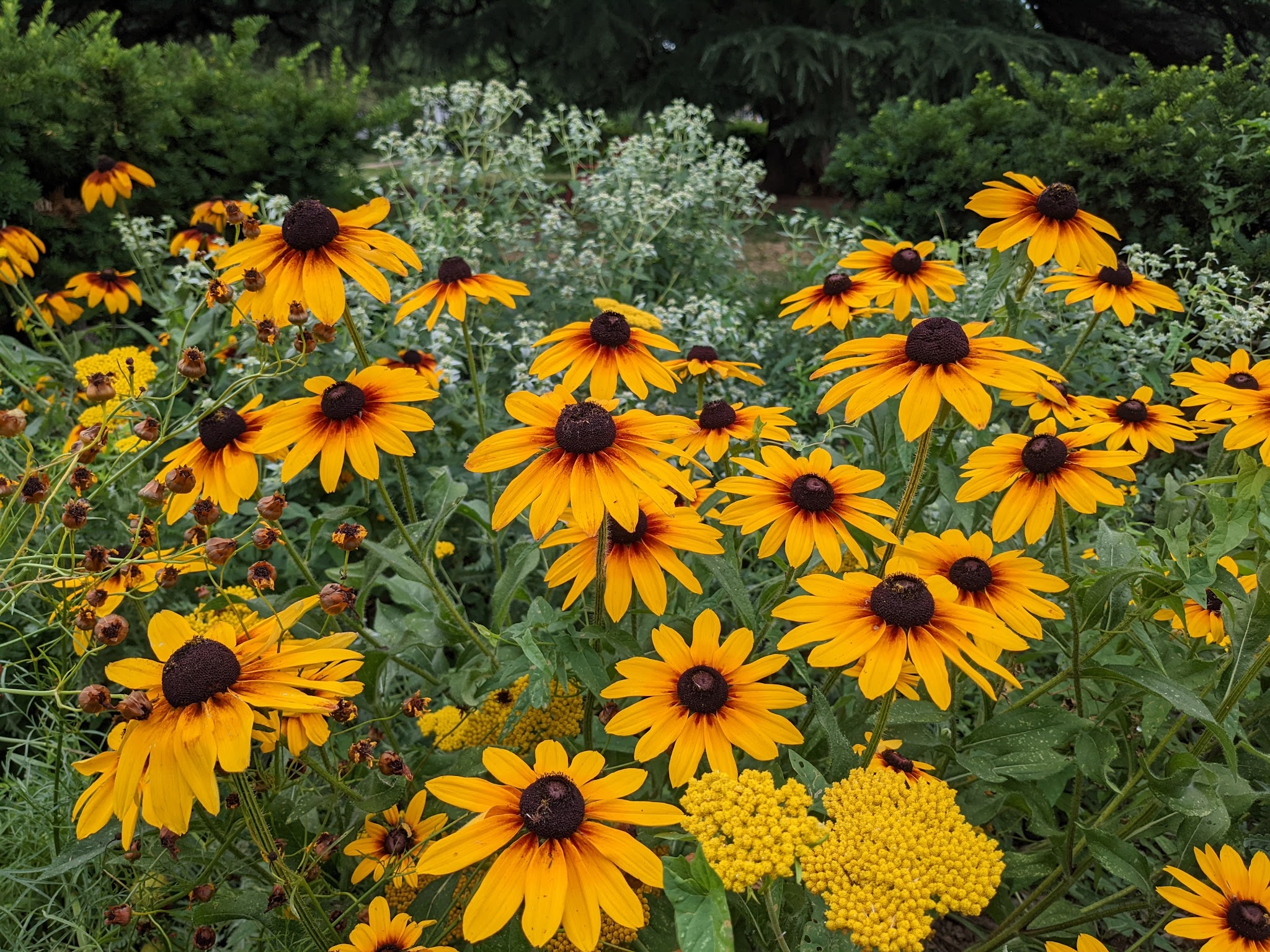 Grant Circle Park - Washington,
