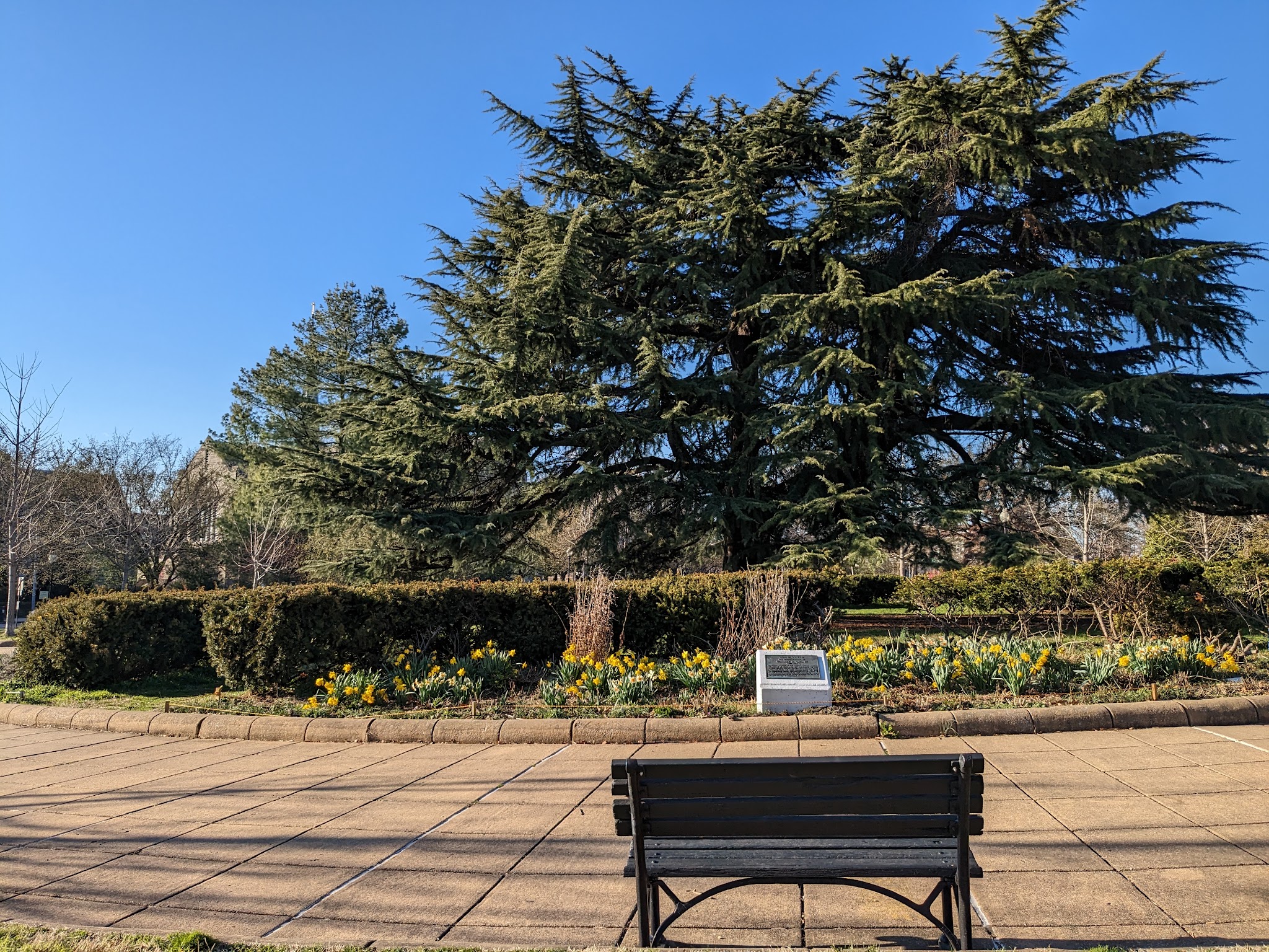 Grant Circle Park - Washington,