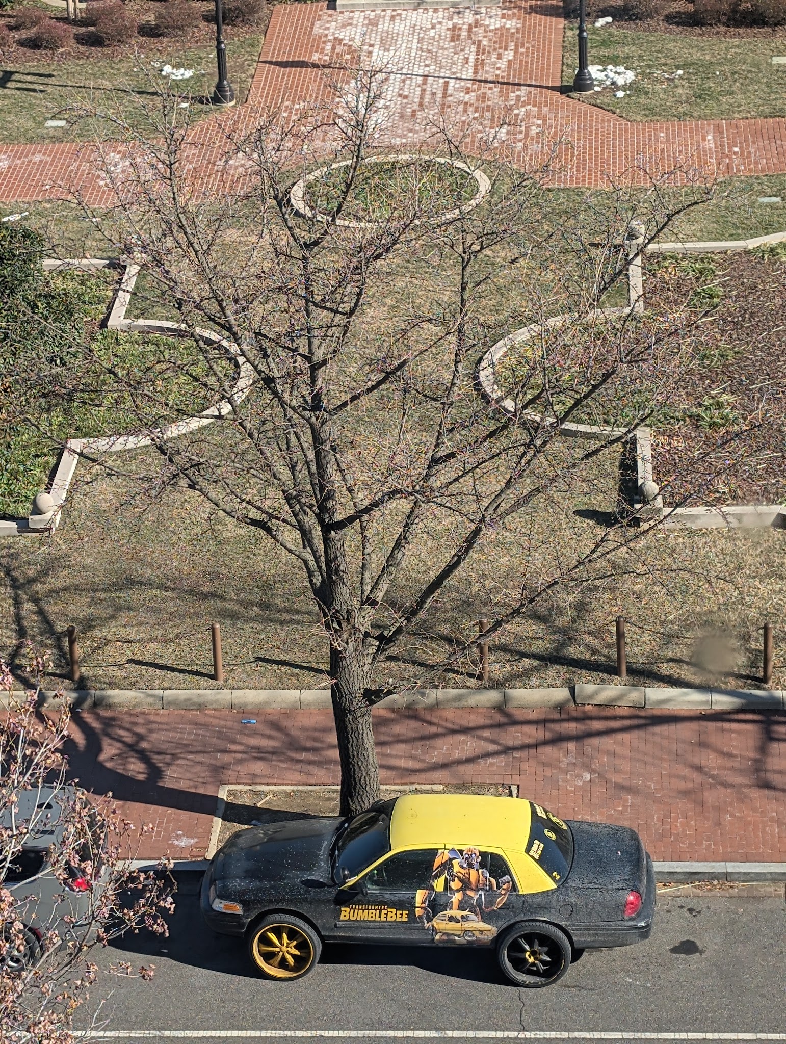 Judiciary Park - Washington,