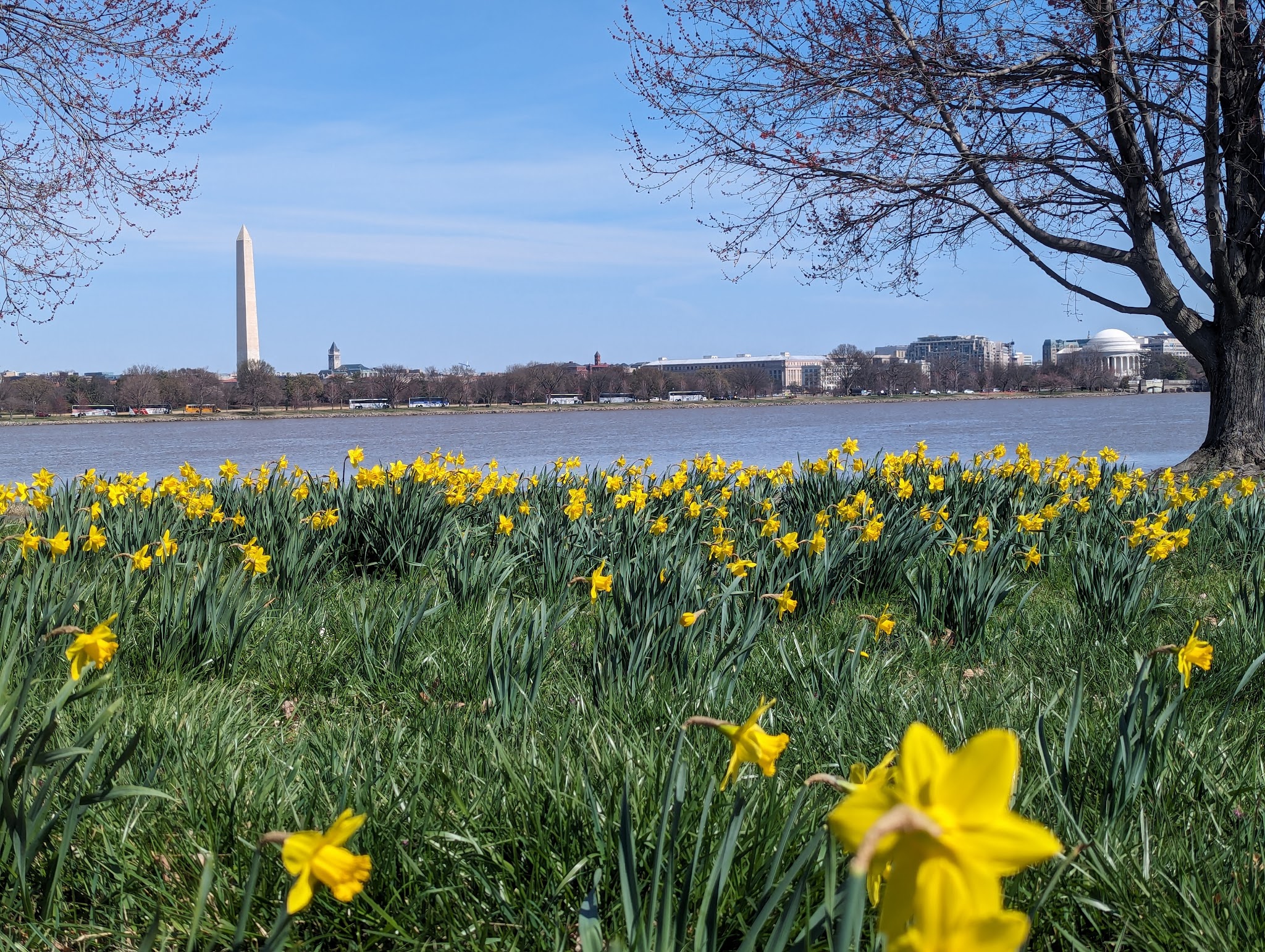 Lady Bird Johnson Park - Washington,