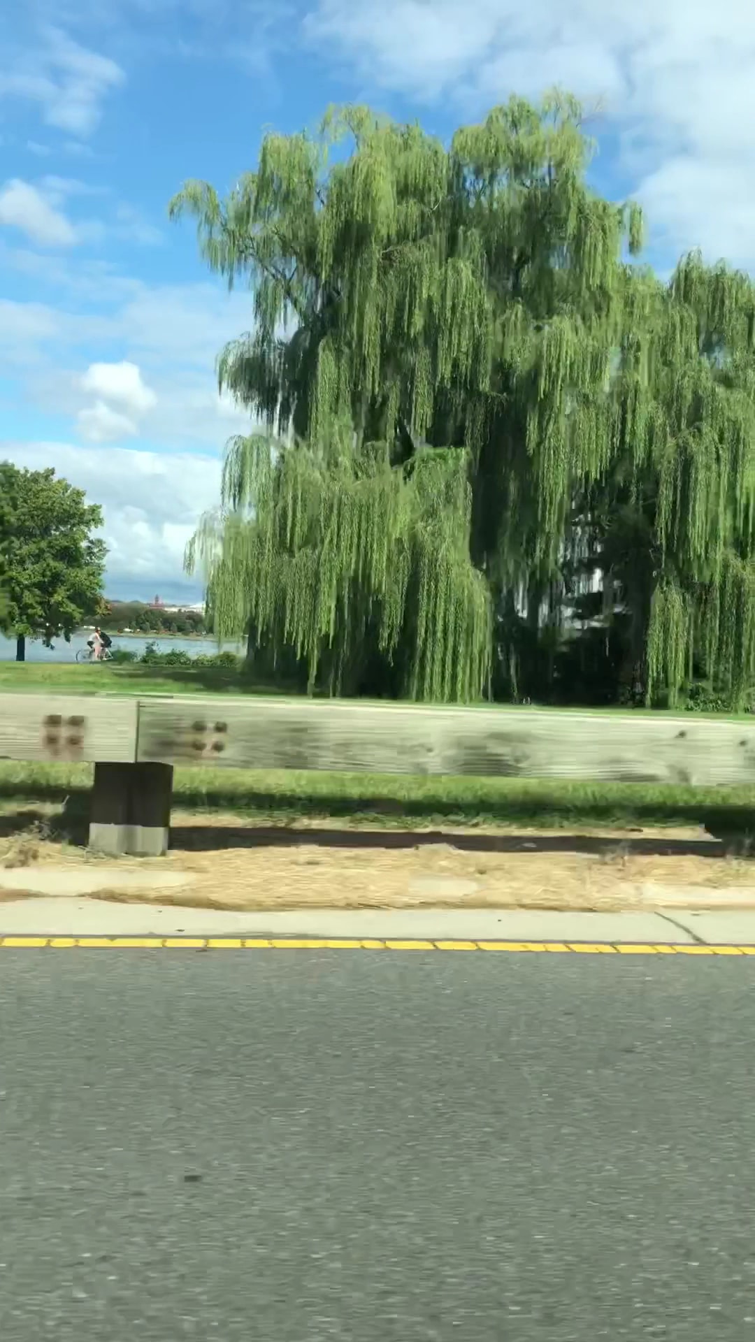 Lady Bird Johnson Park - Washington,