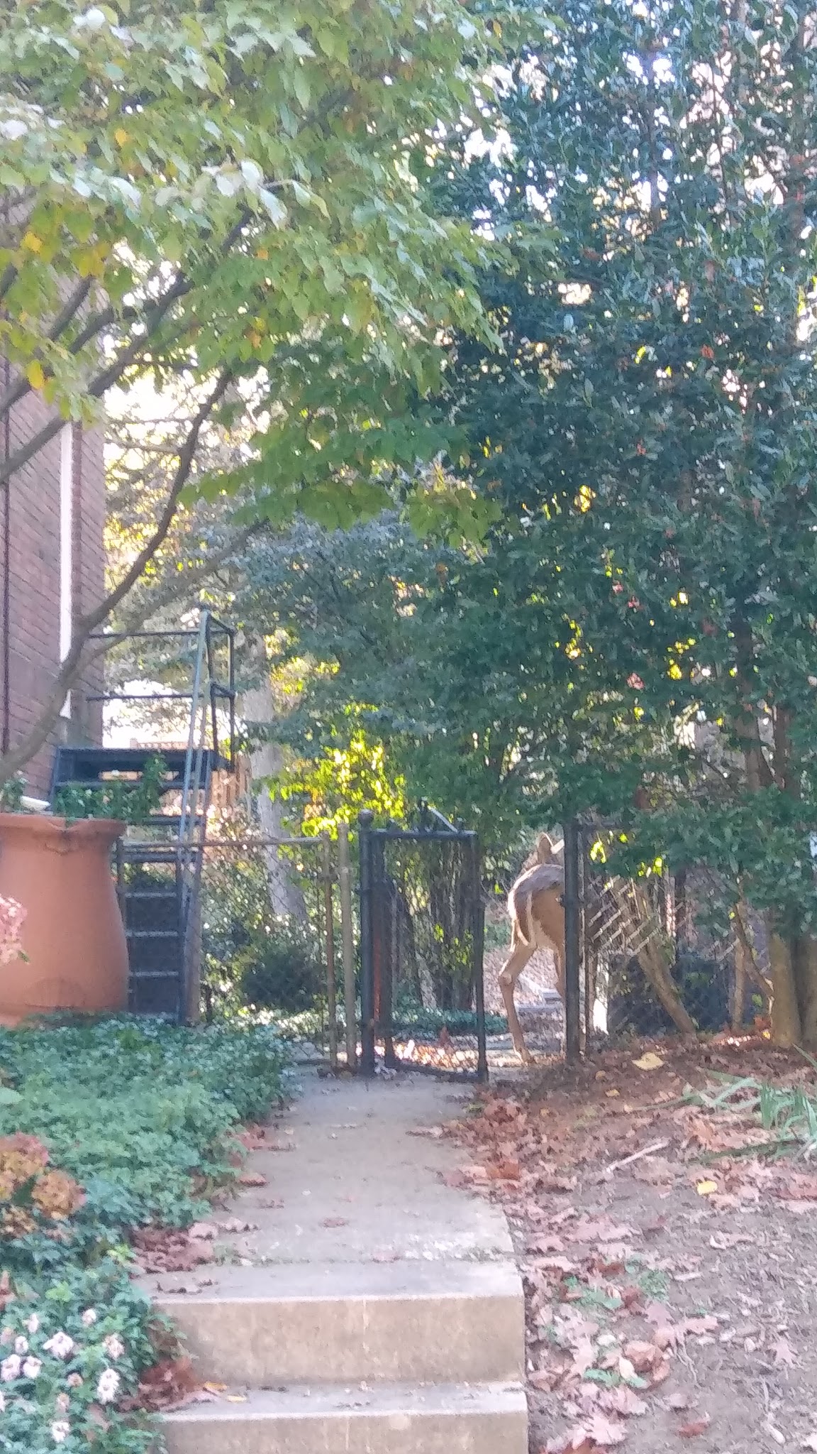 Little Forest Park - Washington,