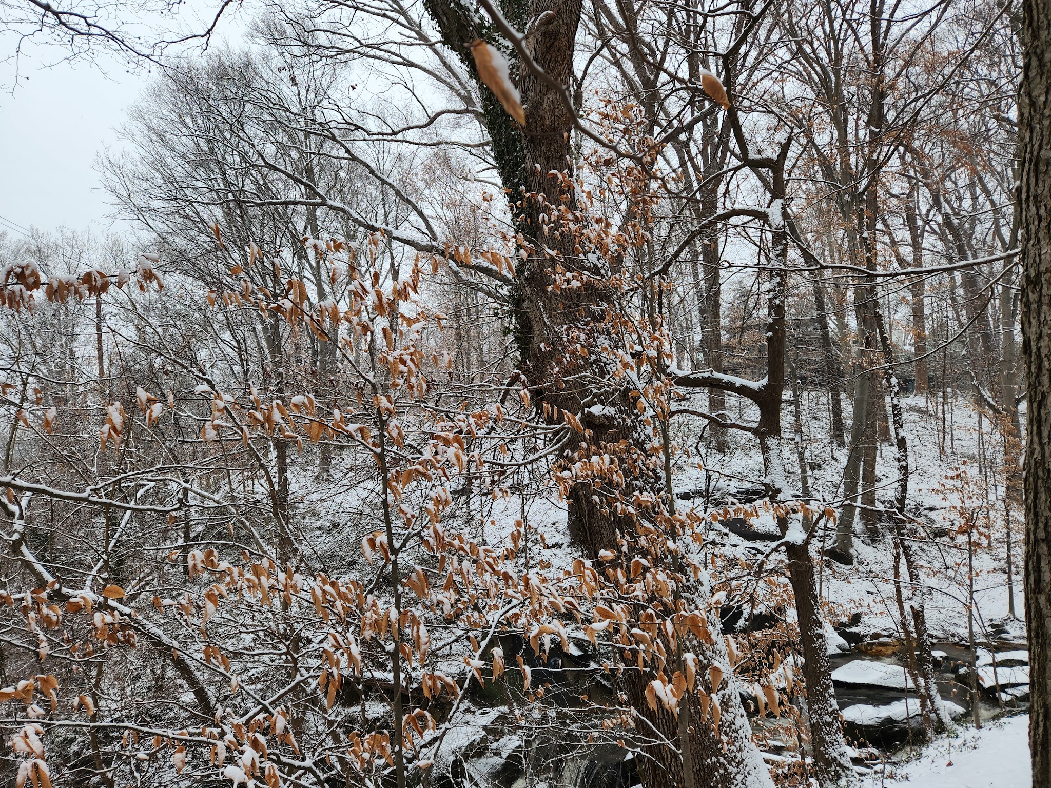 Potomac Palisades Parkway - Washington,
