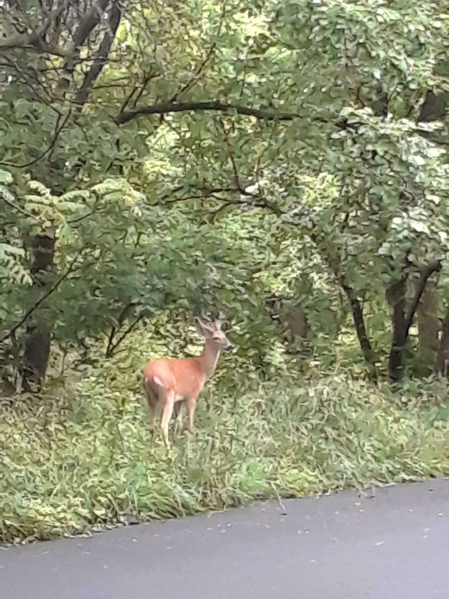 Potomac Palisades Parkway - Washington,