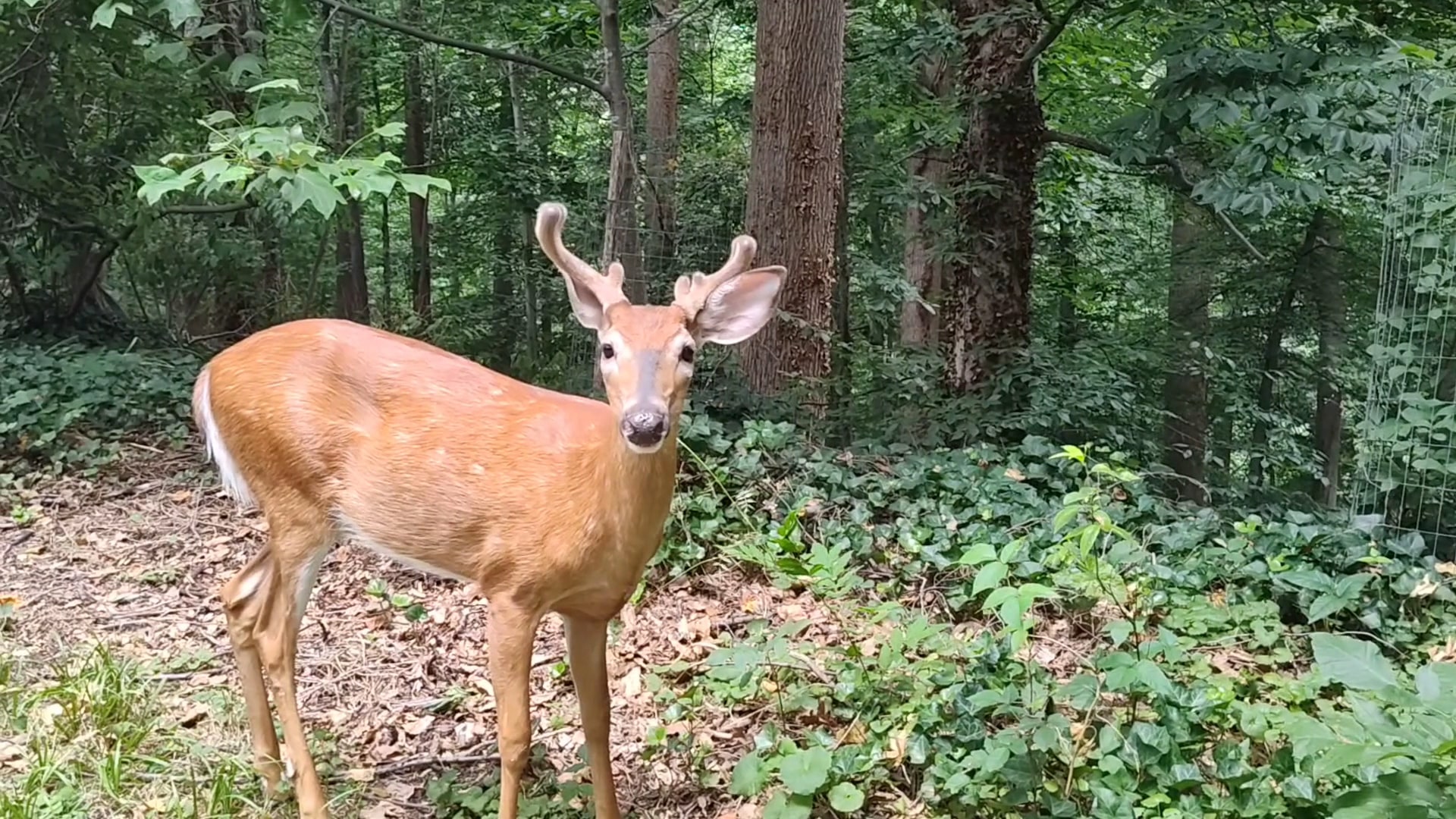 Reservation 630 - Washington,