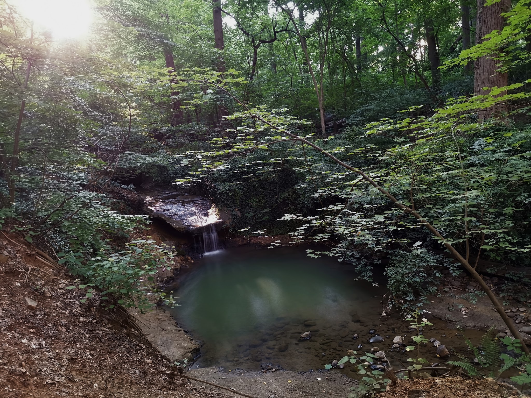 Reservation 630 - Washington,