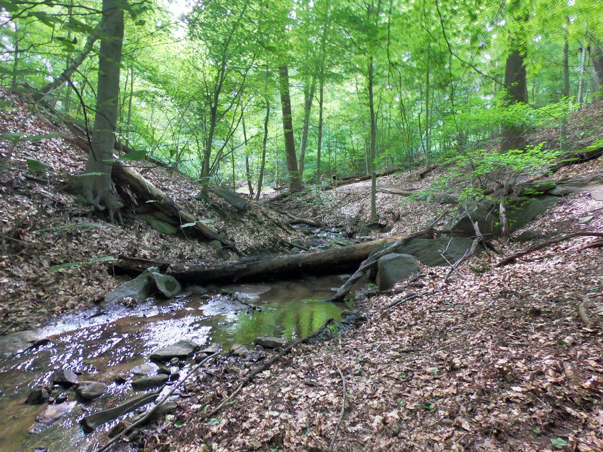 Reservation 630 - Washington,