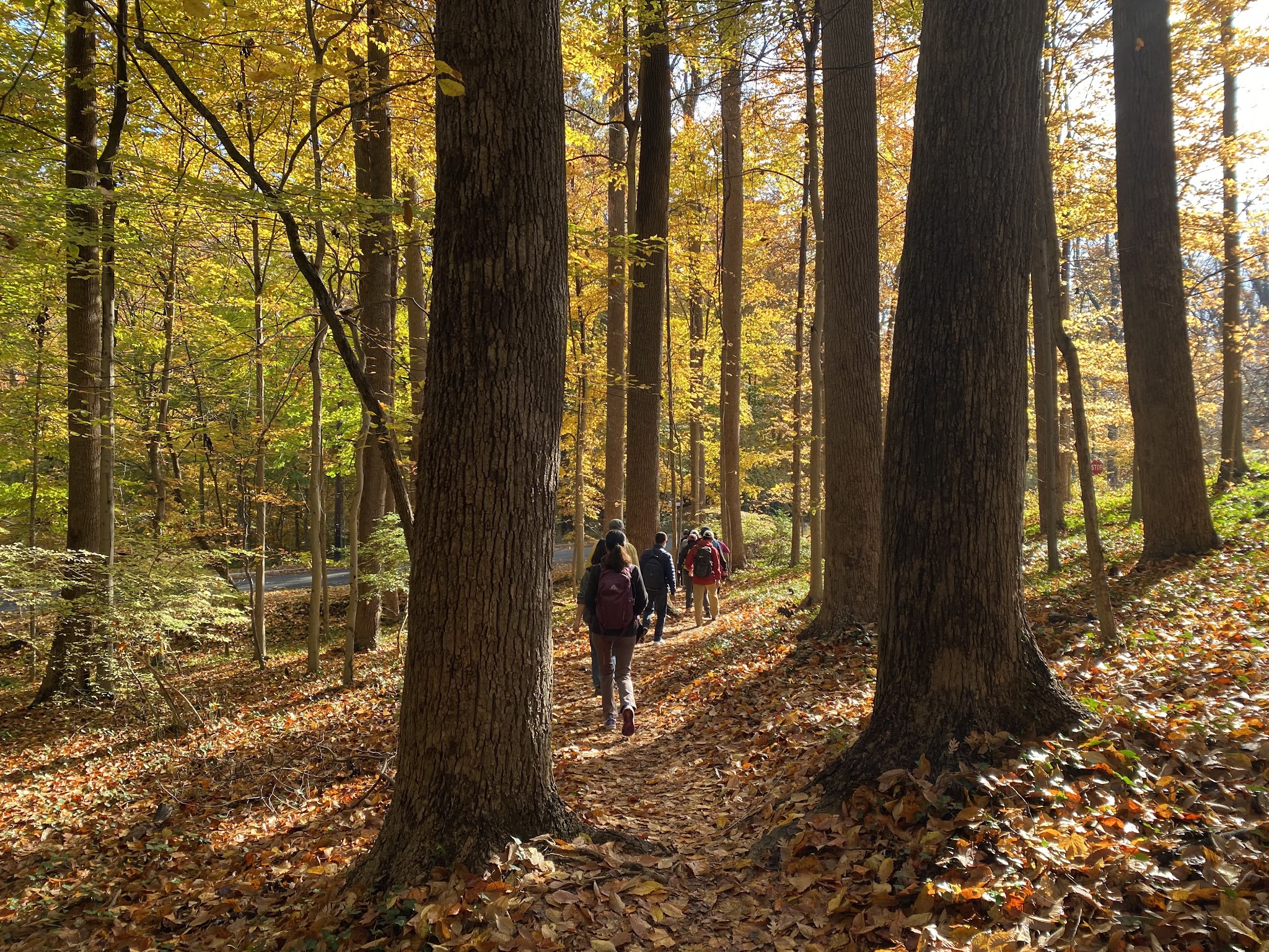Robert Latham Owen Park - Washington,