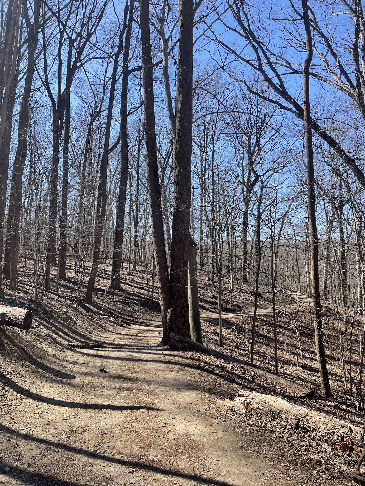 Rock Creek Trail Juniper Trailhead - Washington,