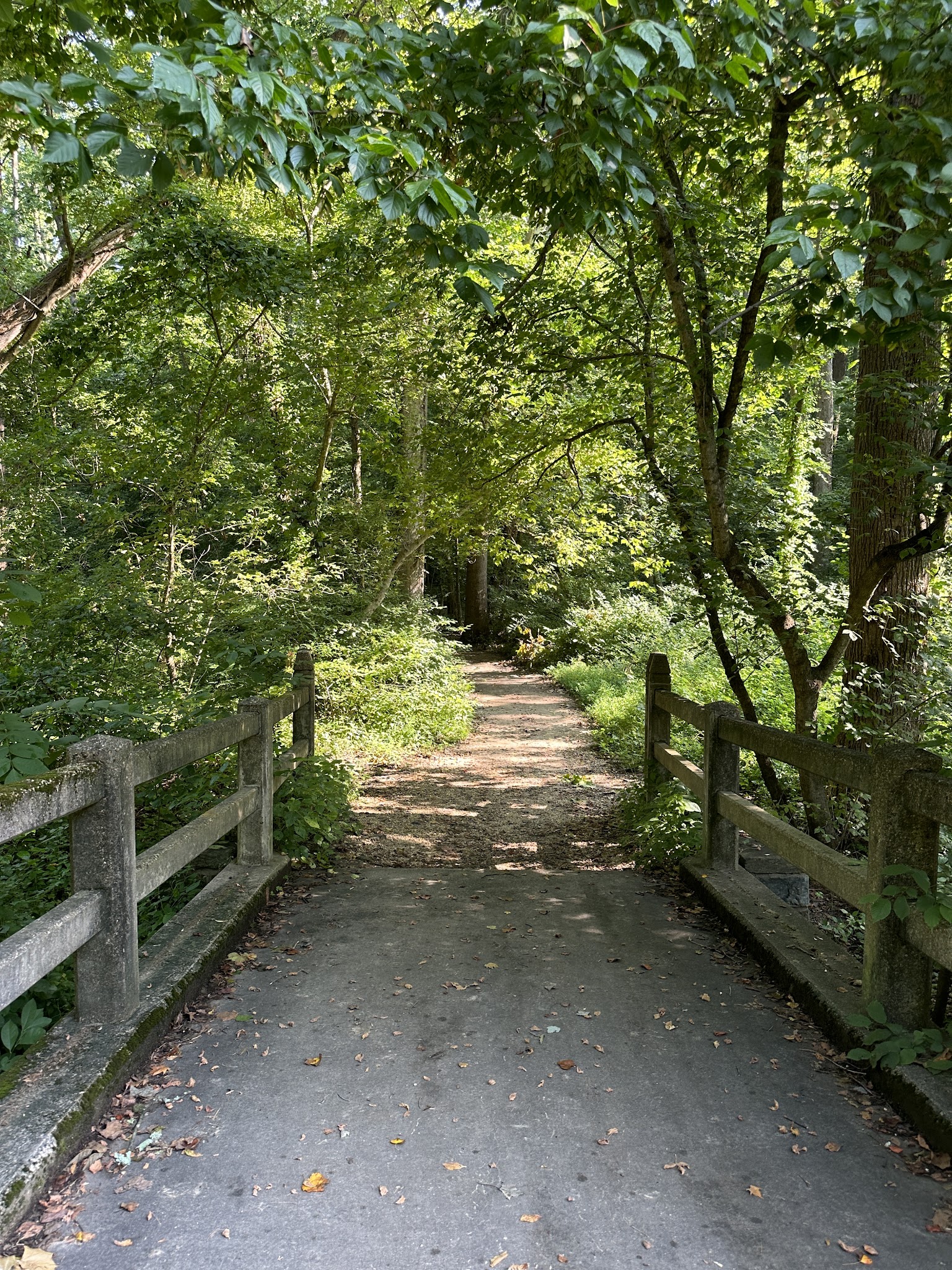 Rock Creek Trail Juniper Trailhead - Washington,