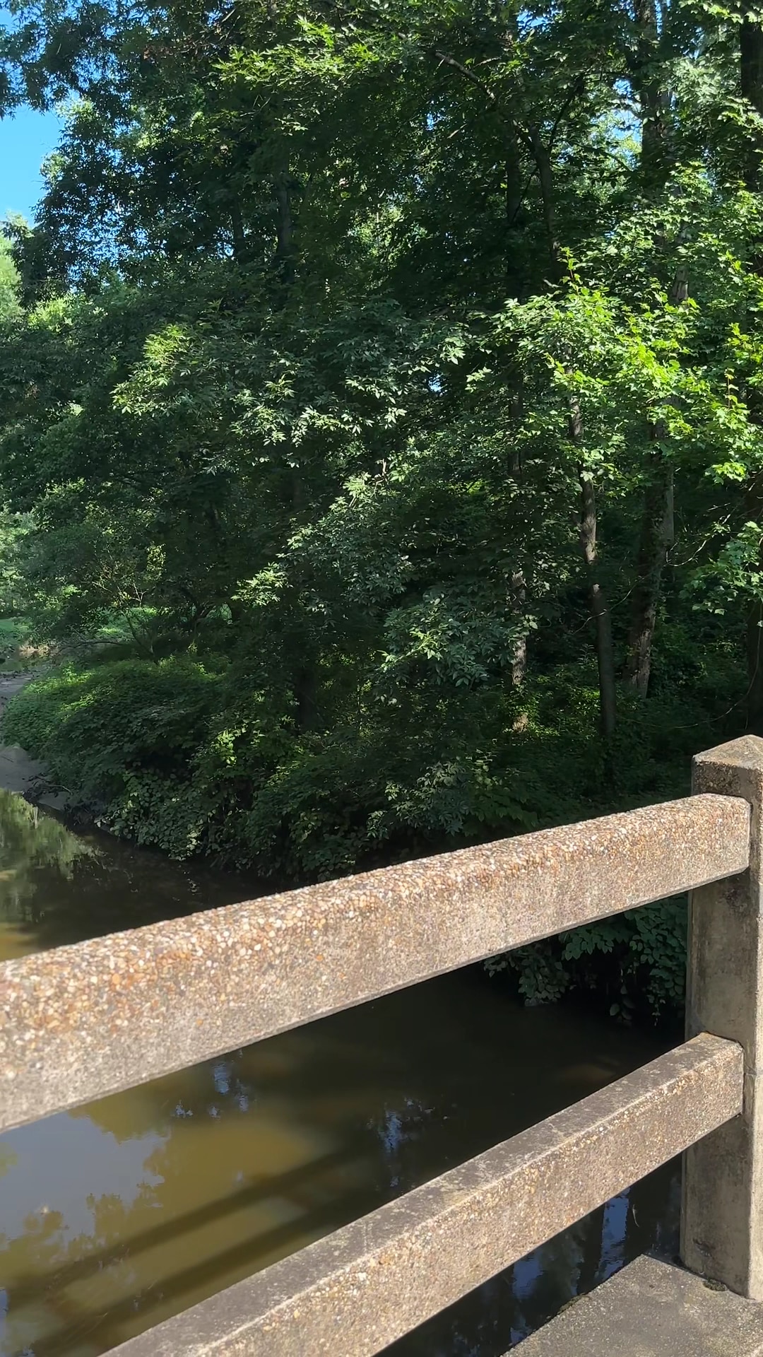Rock Creek Trail Juniper Trailhead - Washington,