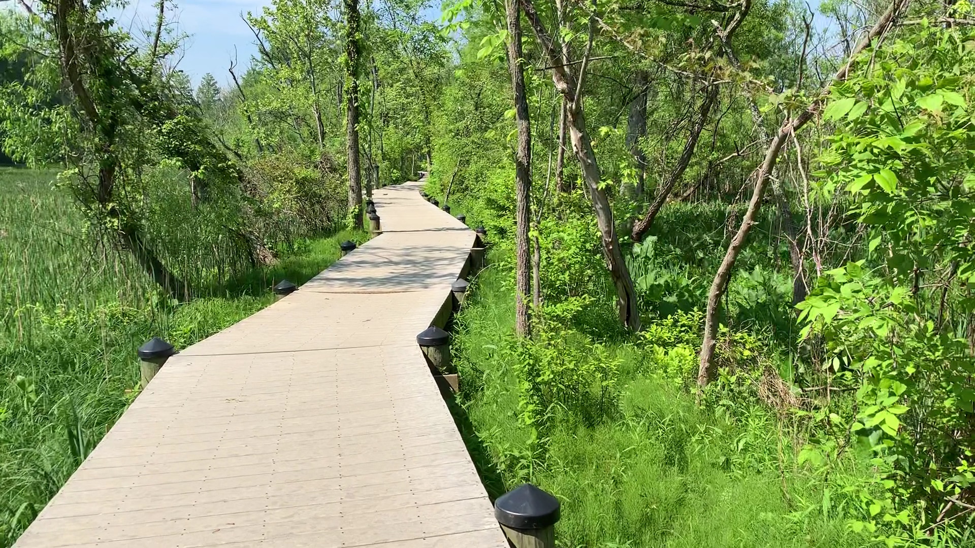 Roosevelt lsland Park - Washington,