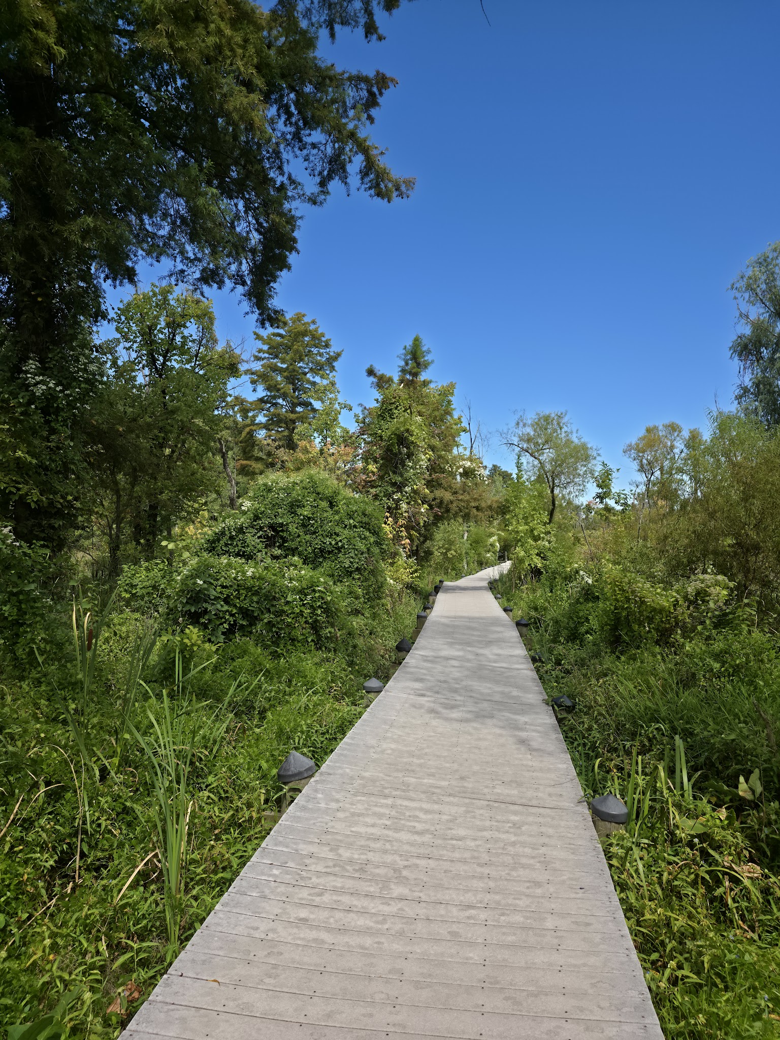 Roosevelt lsland Park - Washington,