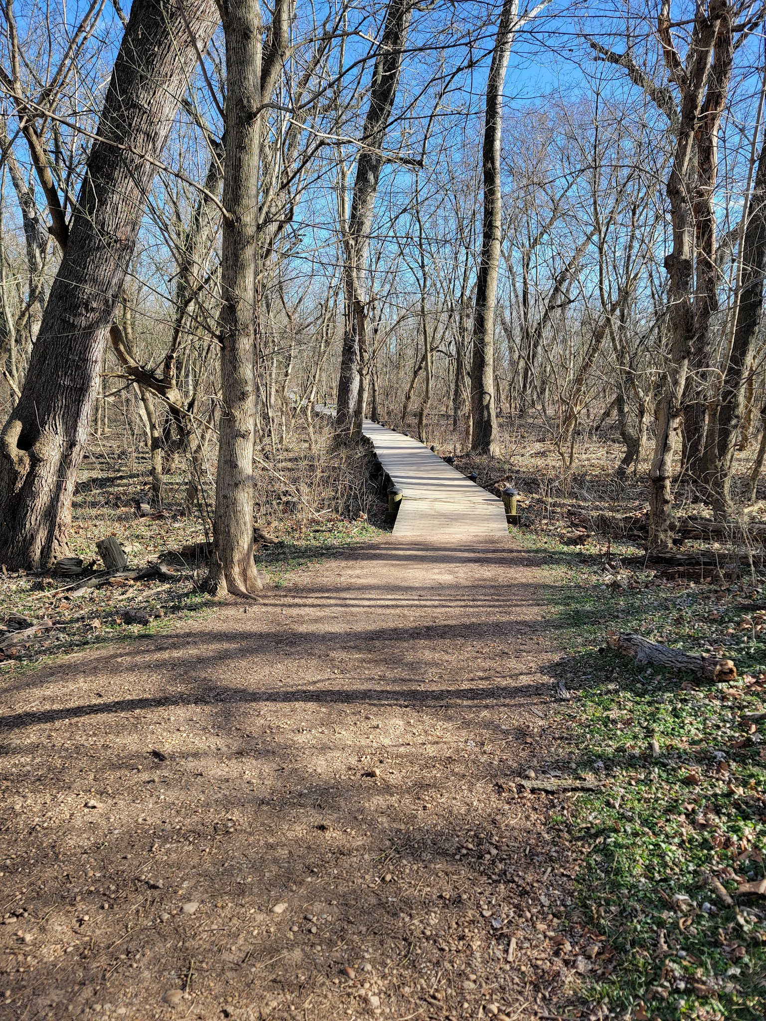 Roosevelt lsland Park - Washington,