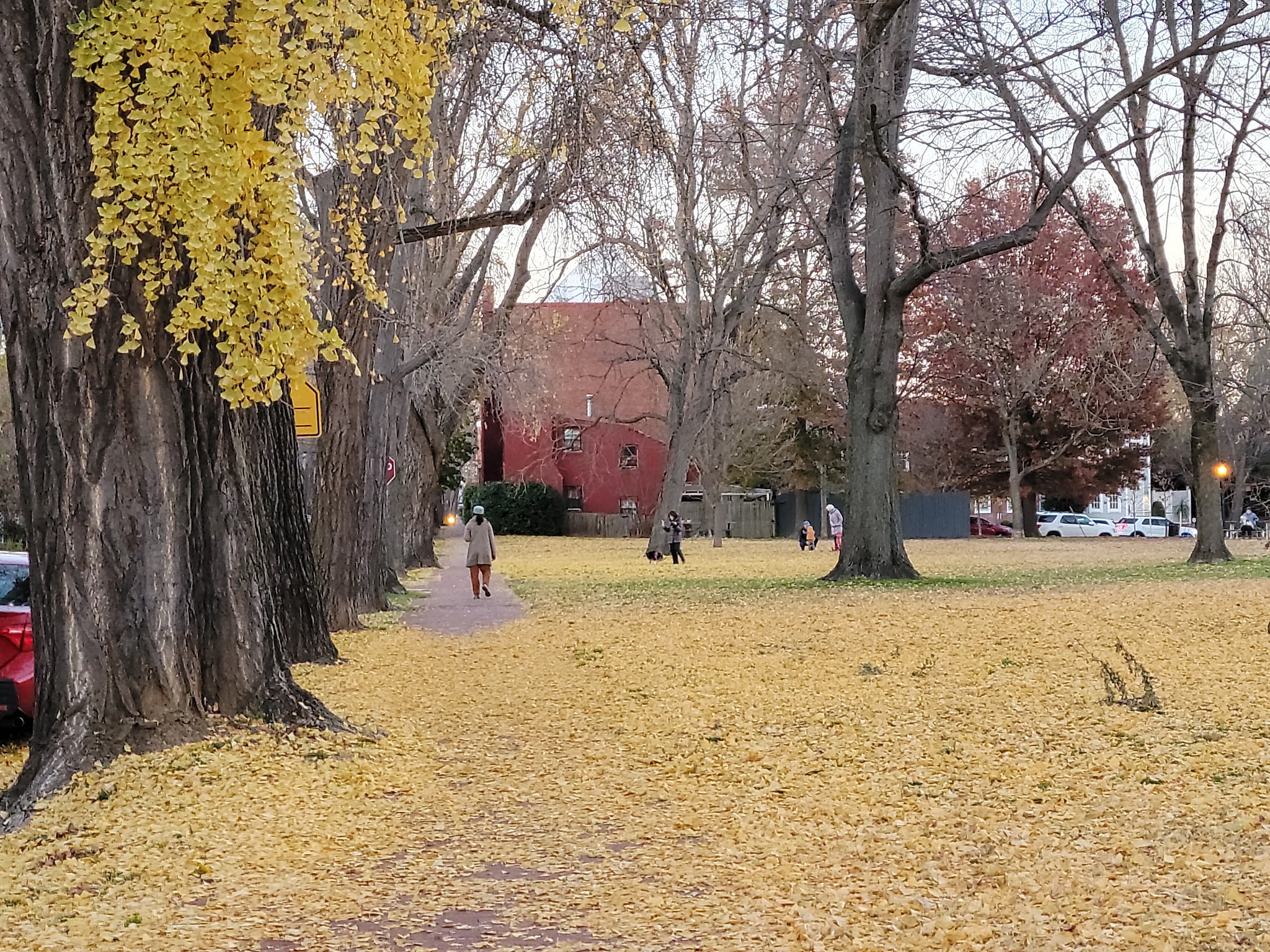 Rose Park Tot Lot - Washington,