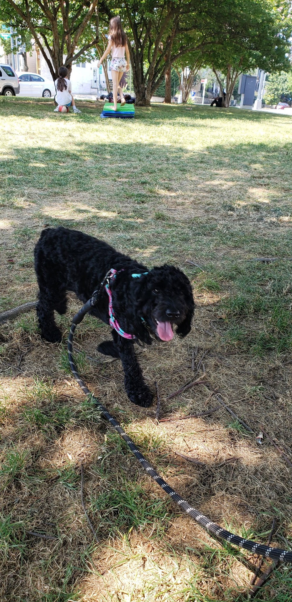 Triangle Park (Park Road) - Washington,