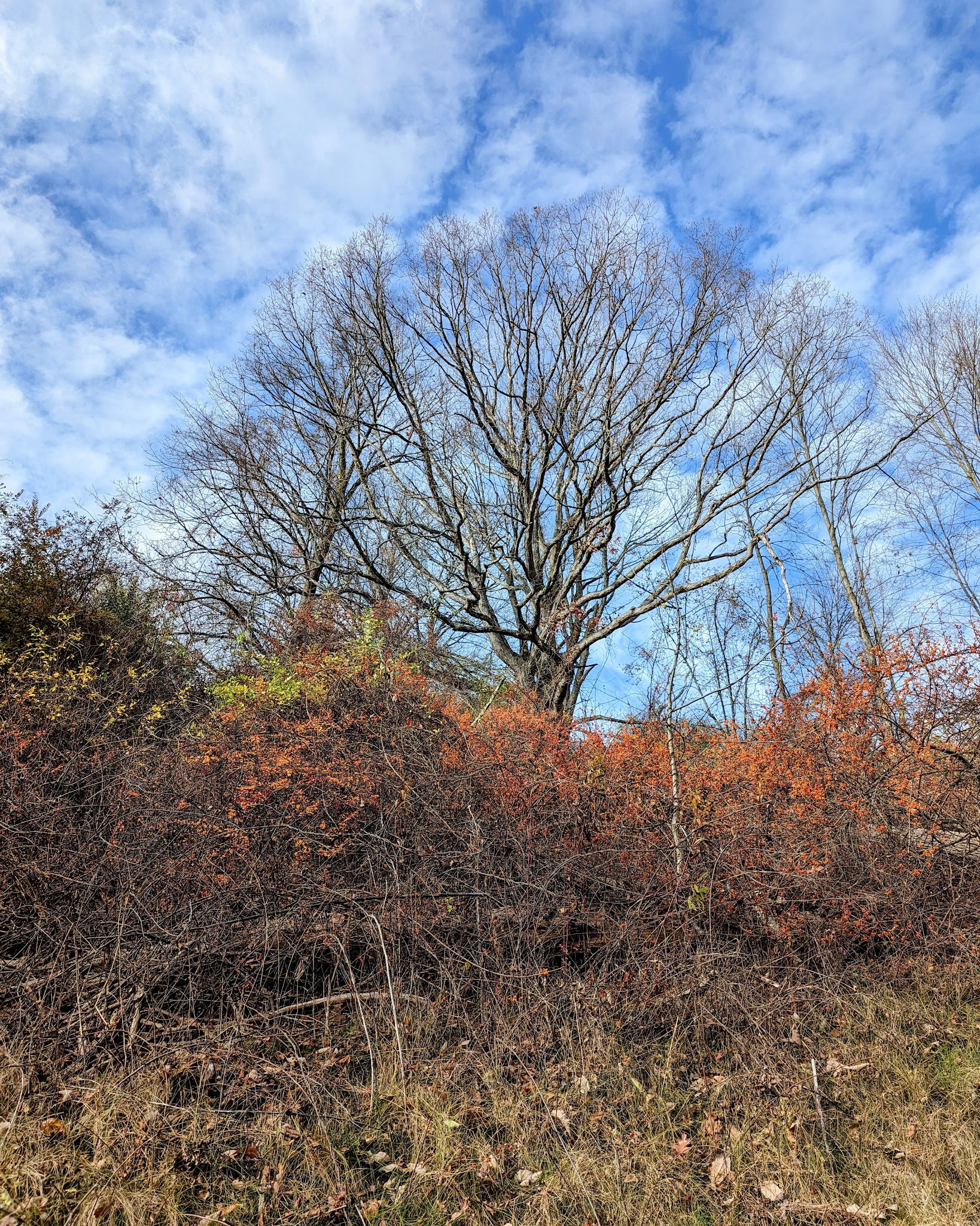 Harlem Valley Rail Trail - Wassaic, NY