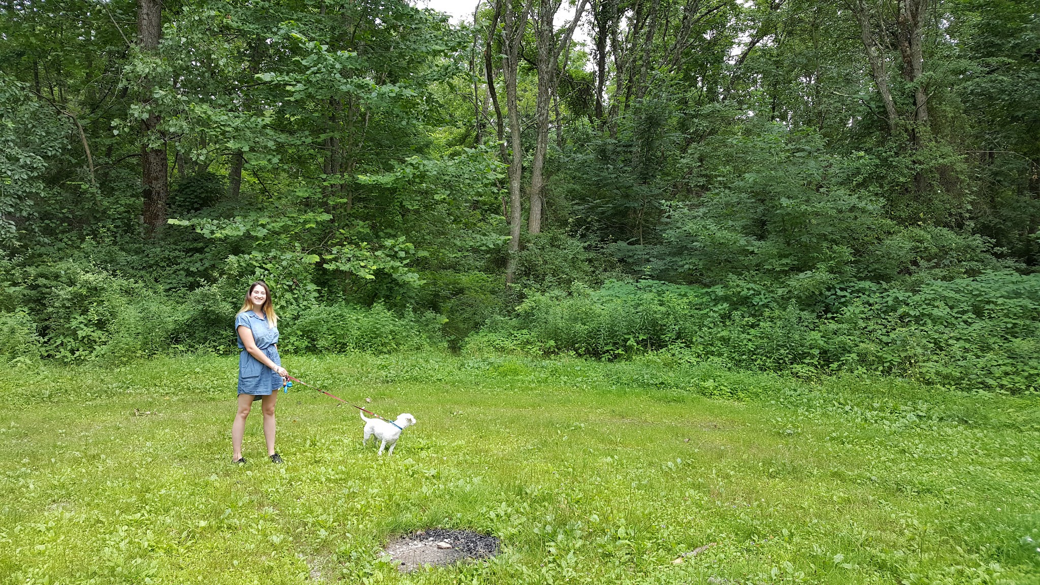 Wassaic Multiple Use Area - Wassaic, NY