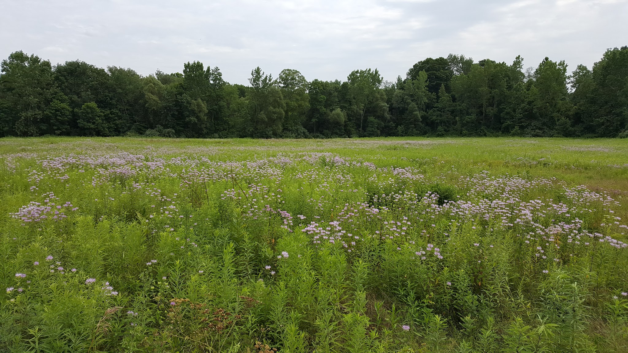 Wassaic Multiple Use Area - Wassaic, NY