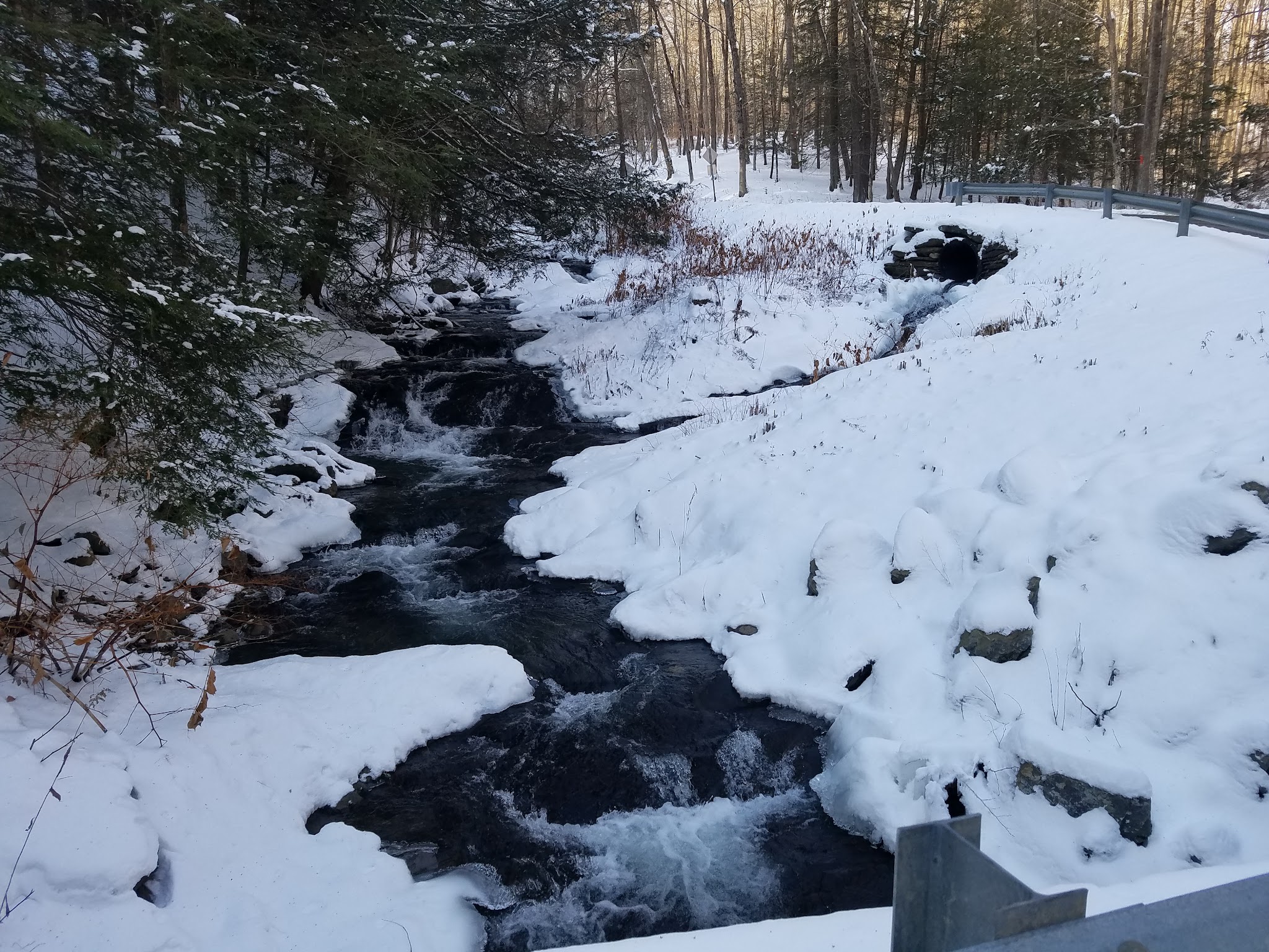 Wassaic Multiple Use Area - Wassaic, NY