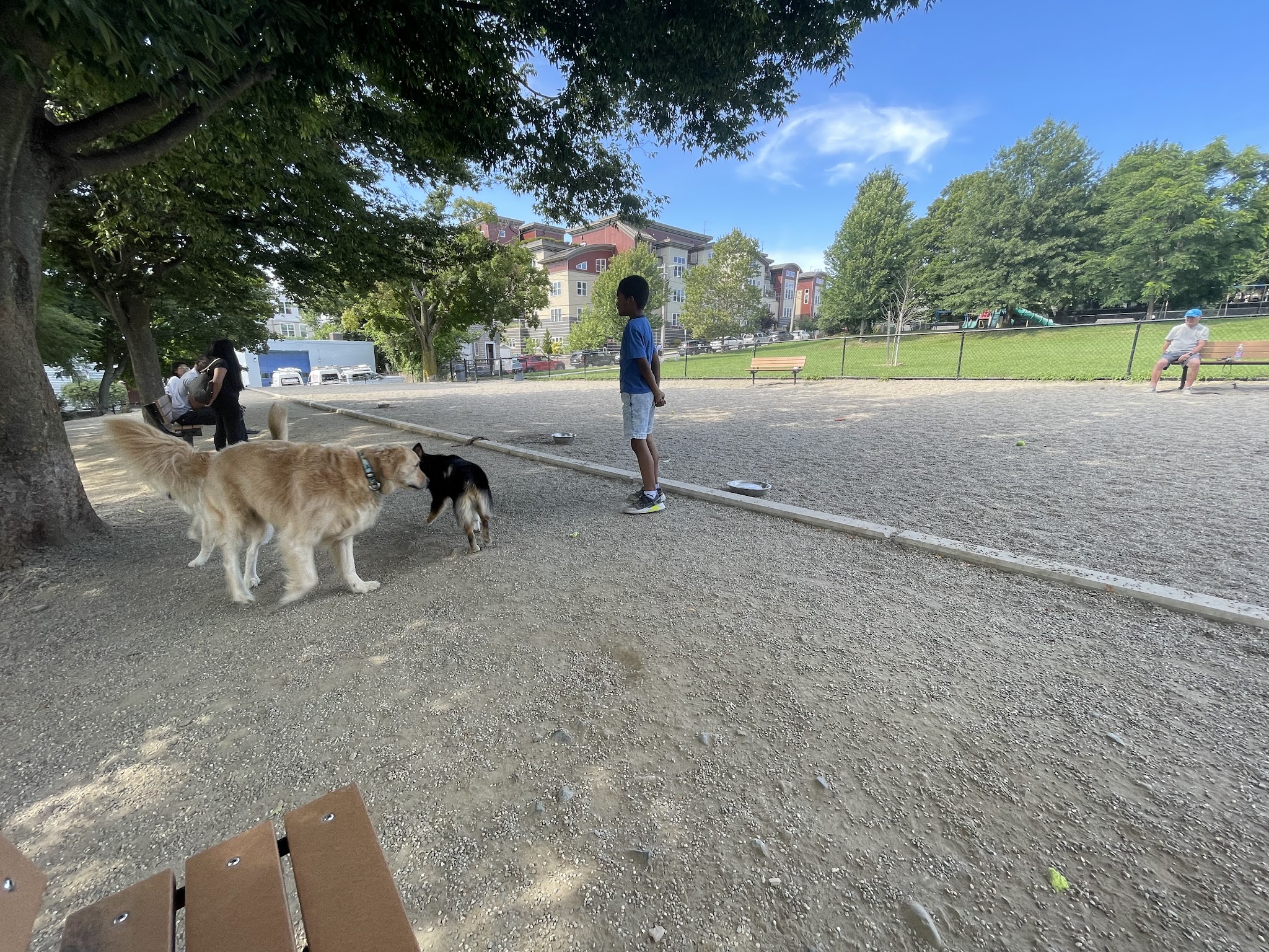 How Park Off - Leash Area - Watertown, MA