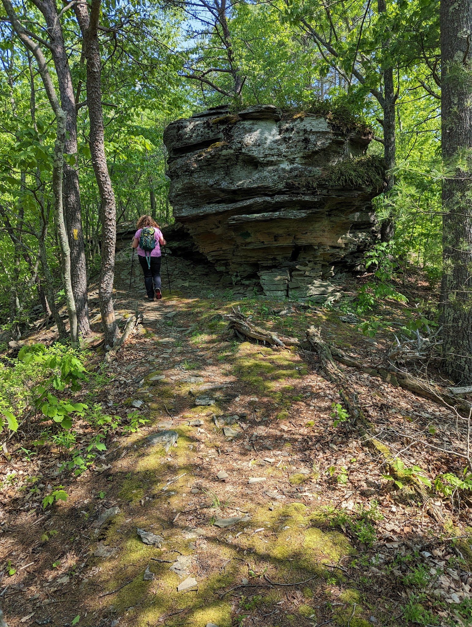 Little Pine State Park - Waterville, PA