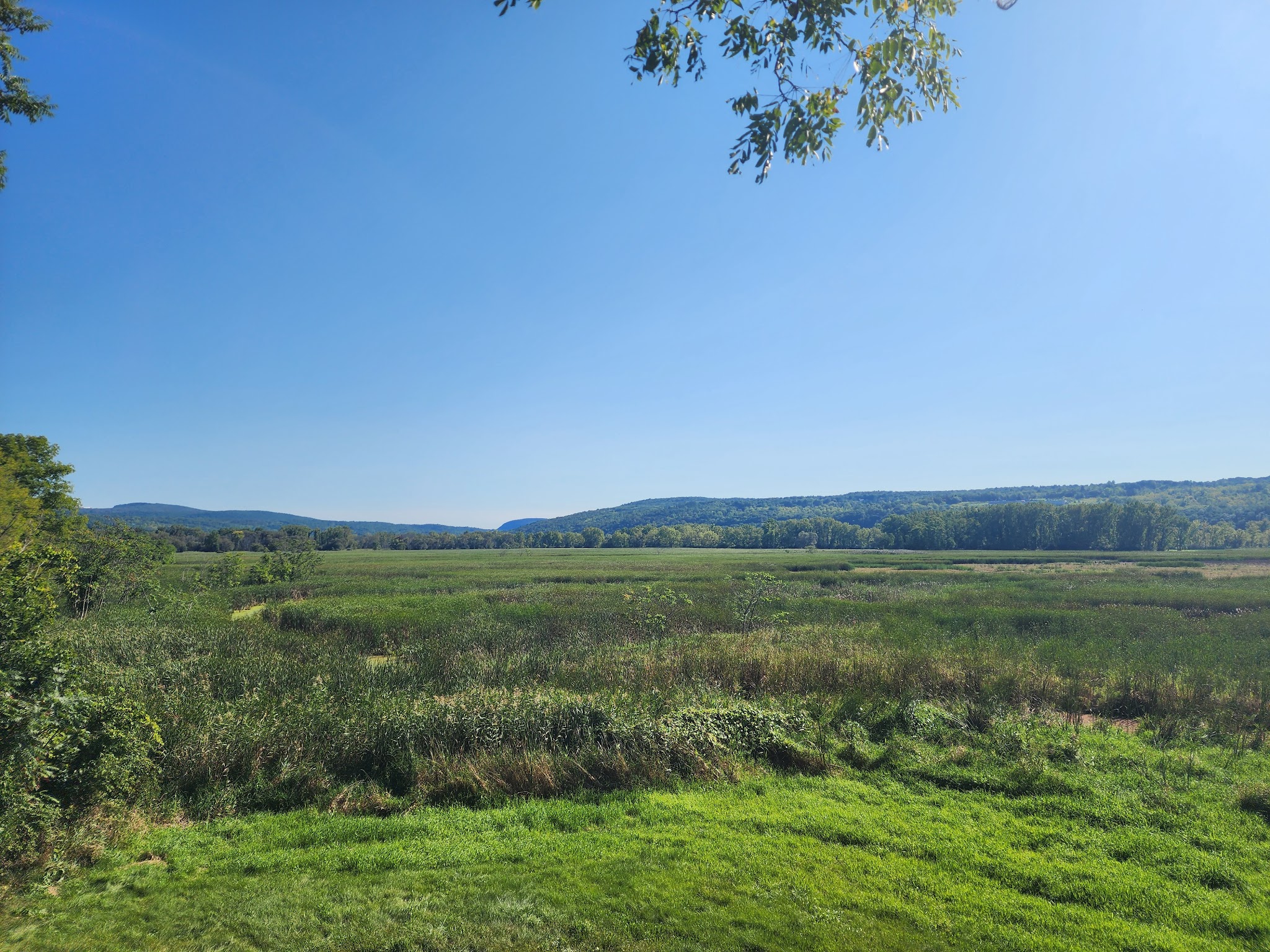 Catharine Creek Wildlife Management Area - Watkins Glen, NY