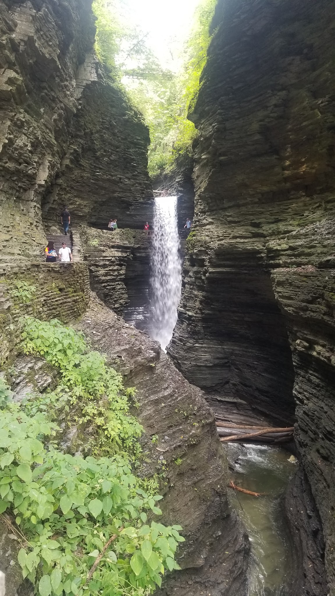 Catharine Creek Wildlife Management Area - Watkins Glen, NY