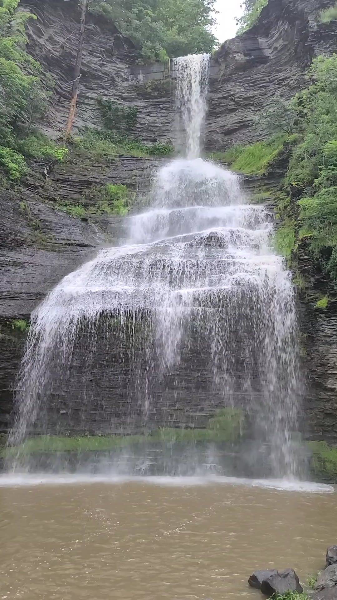 Catharine Creek Wildlife Management Area - Watkins Glen, NY