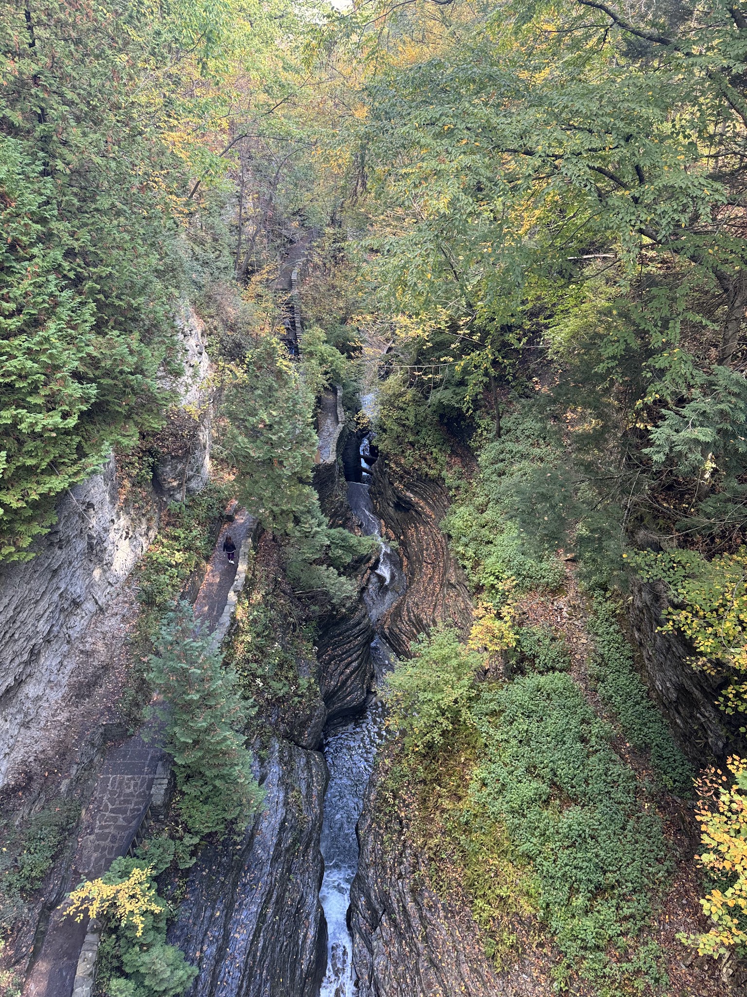 Watkins Glen Gorge Walk - Watkins Glen, NY