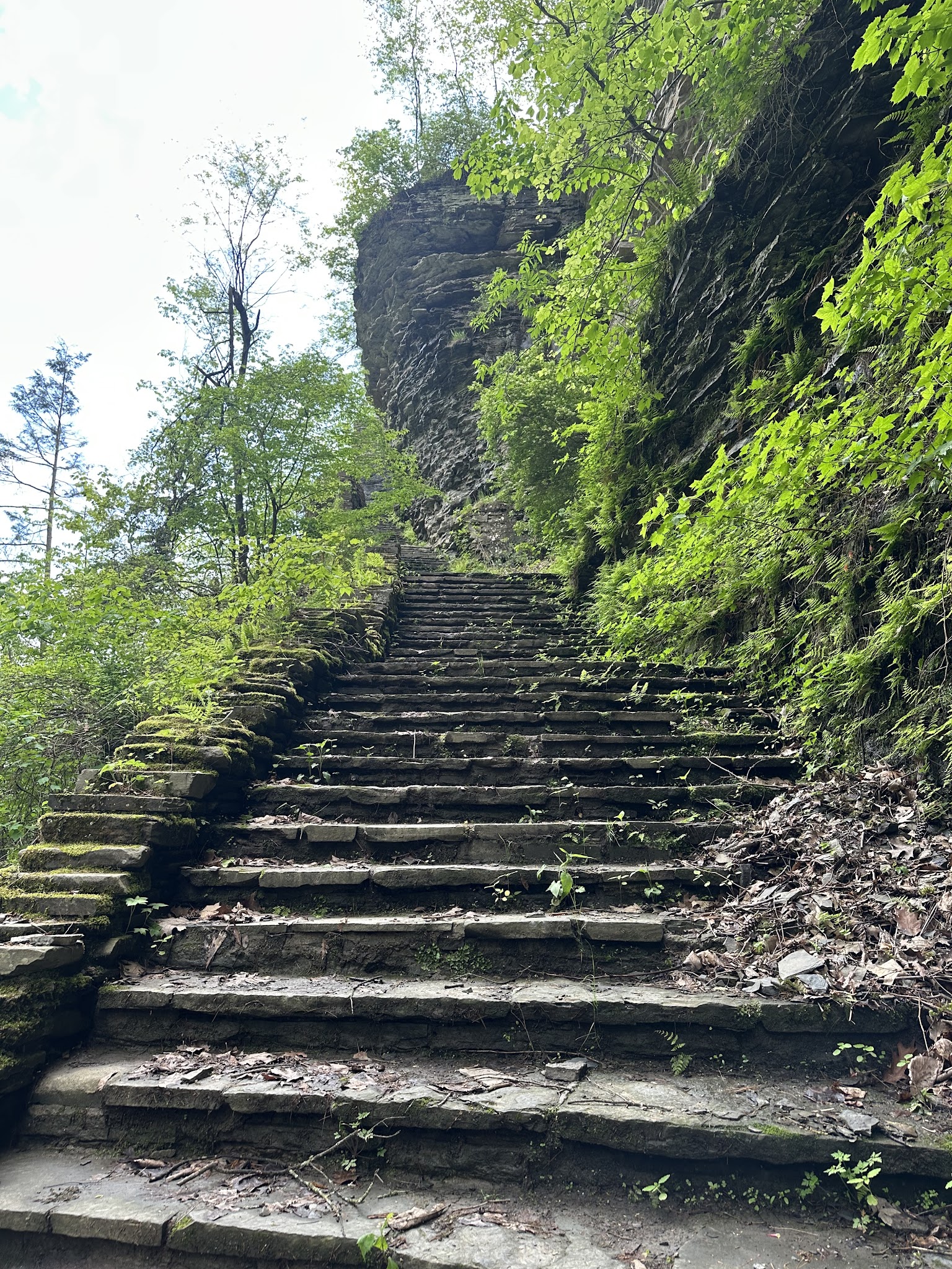 Watkins Glen Gorge Walk - Watkins Glen, NY