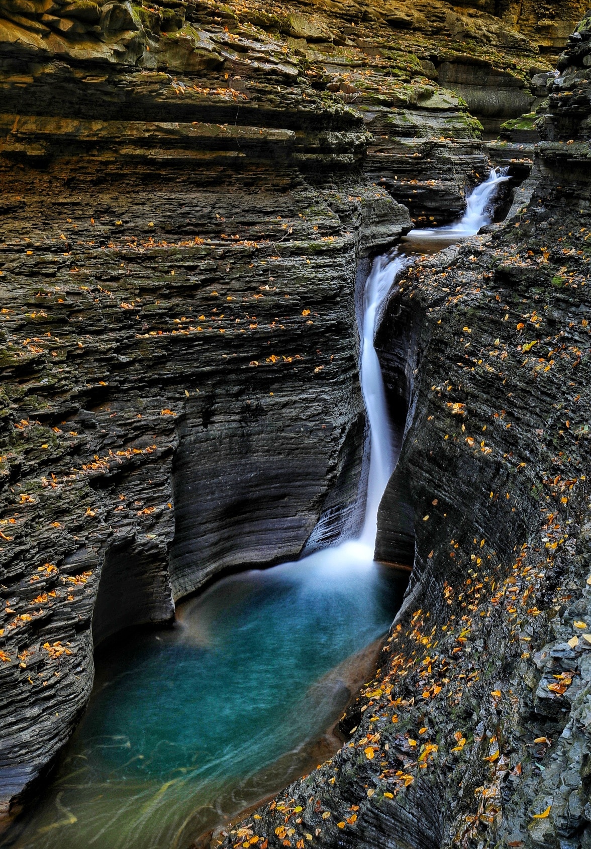 Watkins Glen State Park - Watkins Glen, NY