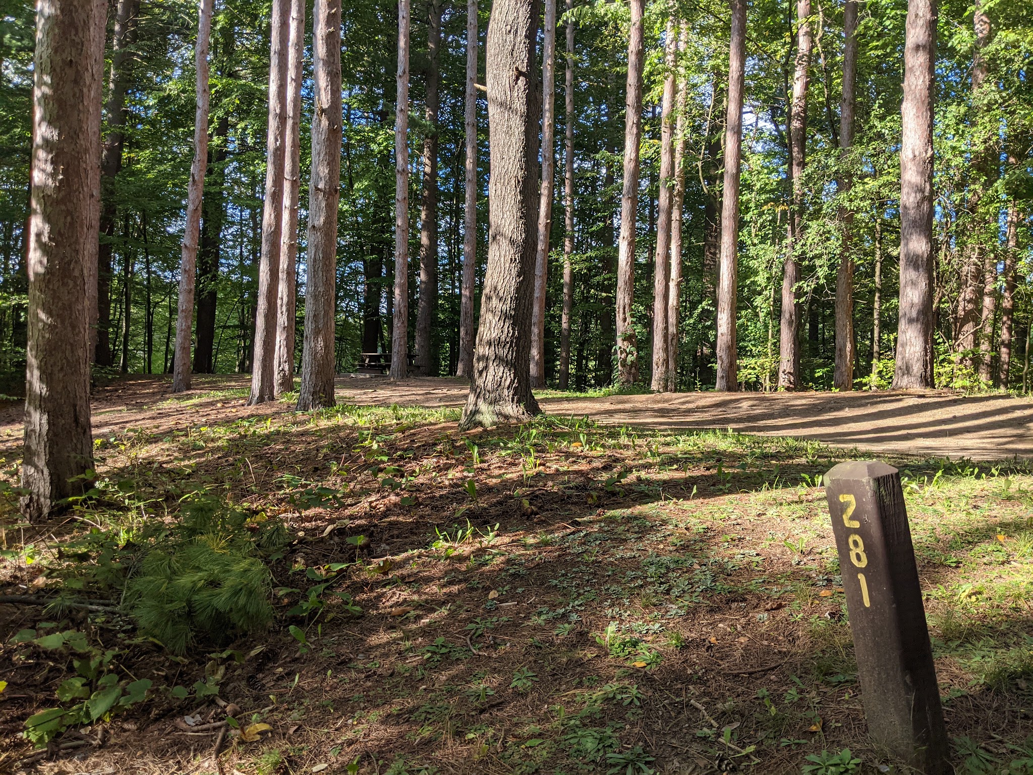 Watkins Glen State Park Six Nations Camping Area - Watkins Glen, NY