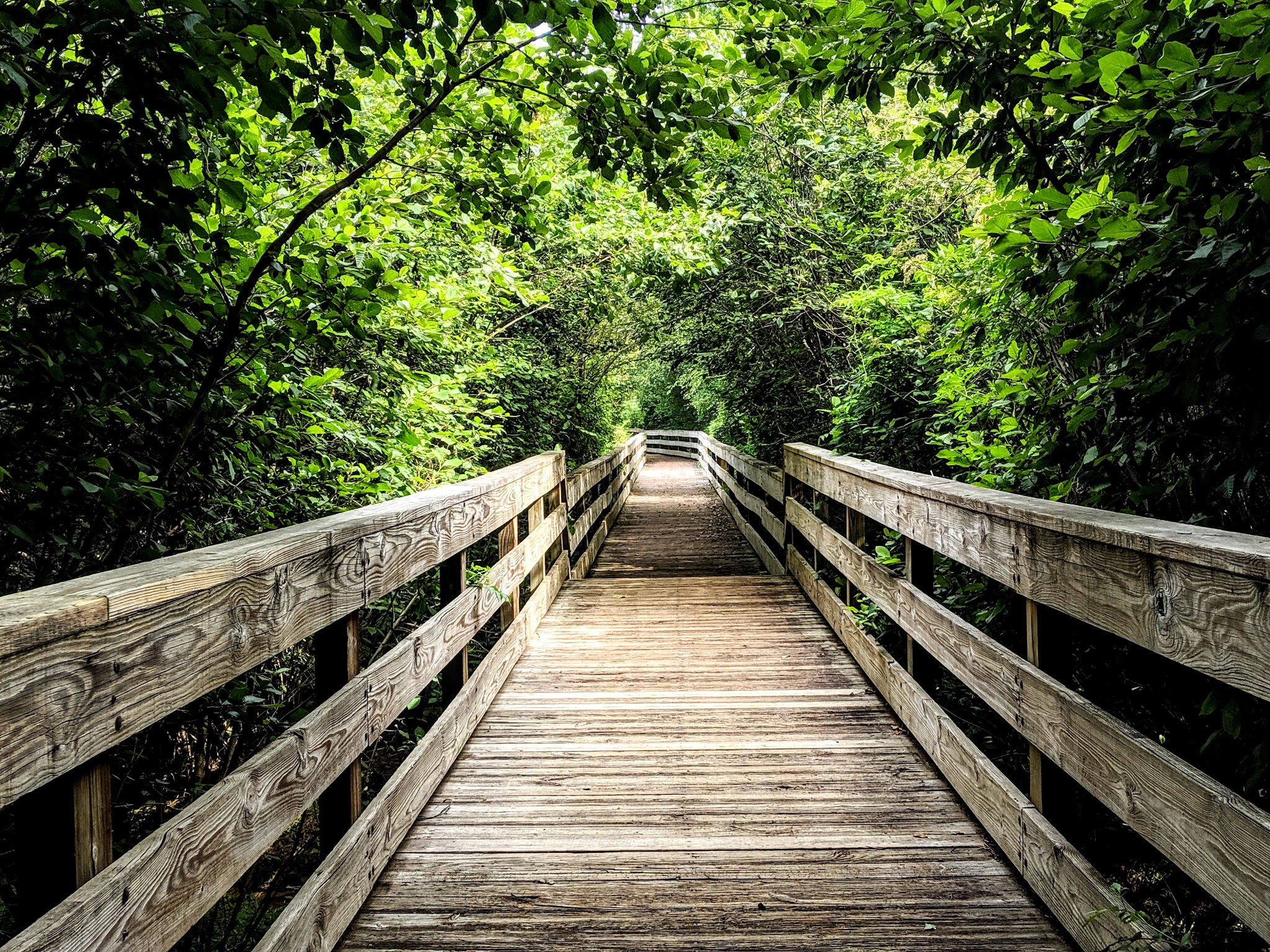 Harris Shoals Park - Watkinsville, GA
