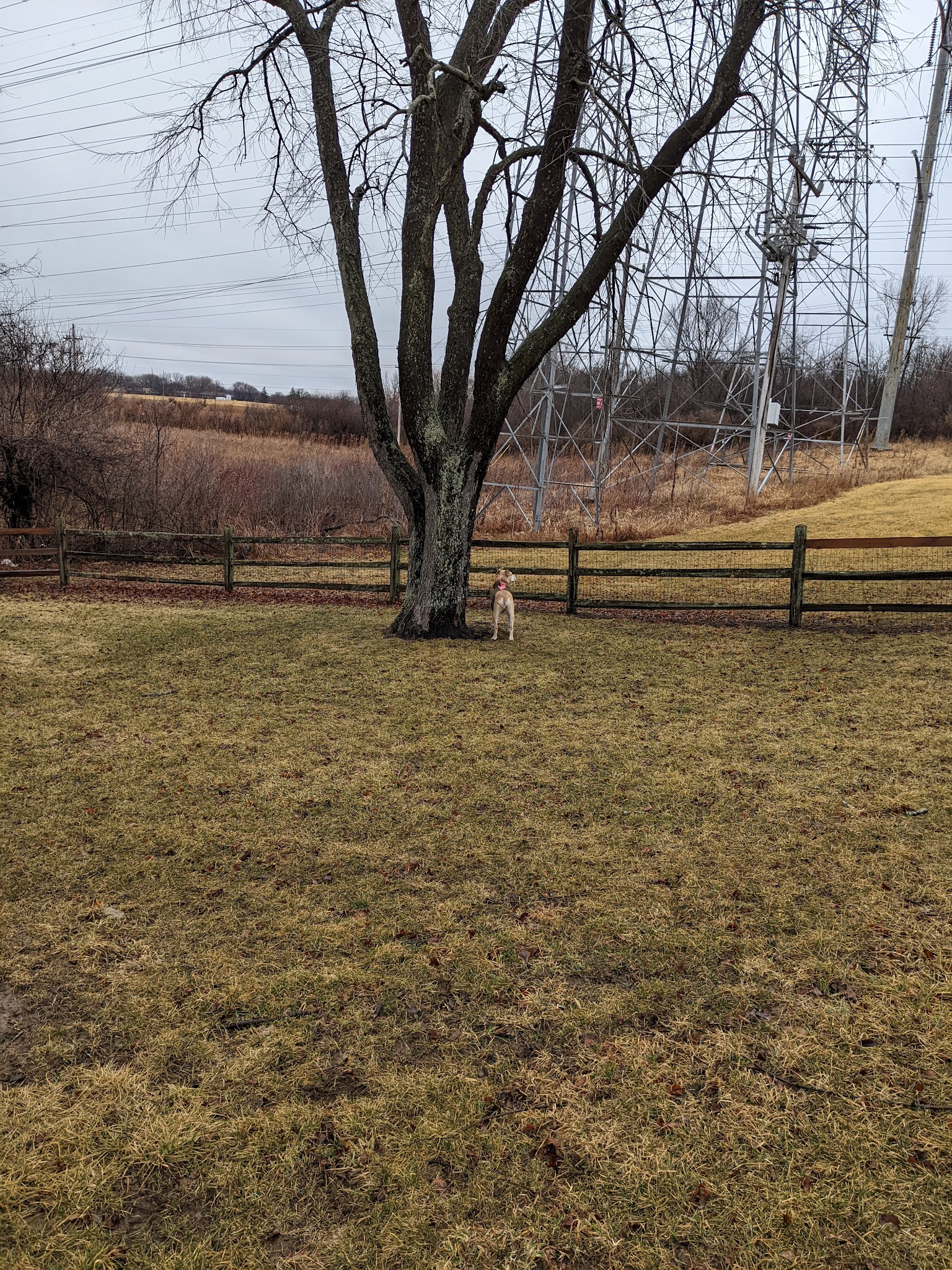 Callahan-Franklin Dog Exercise Area - Waukegan, IL