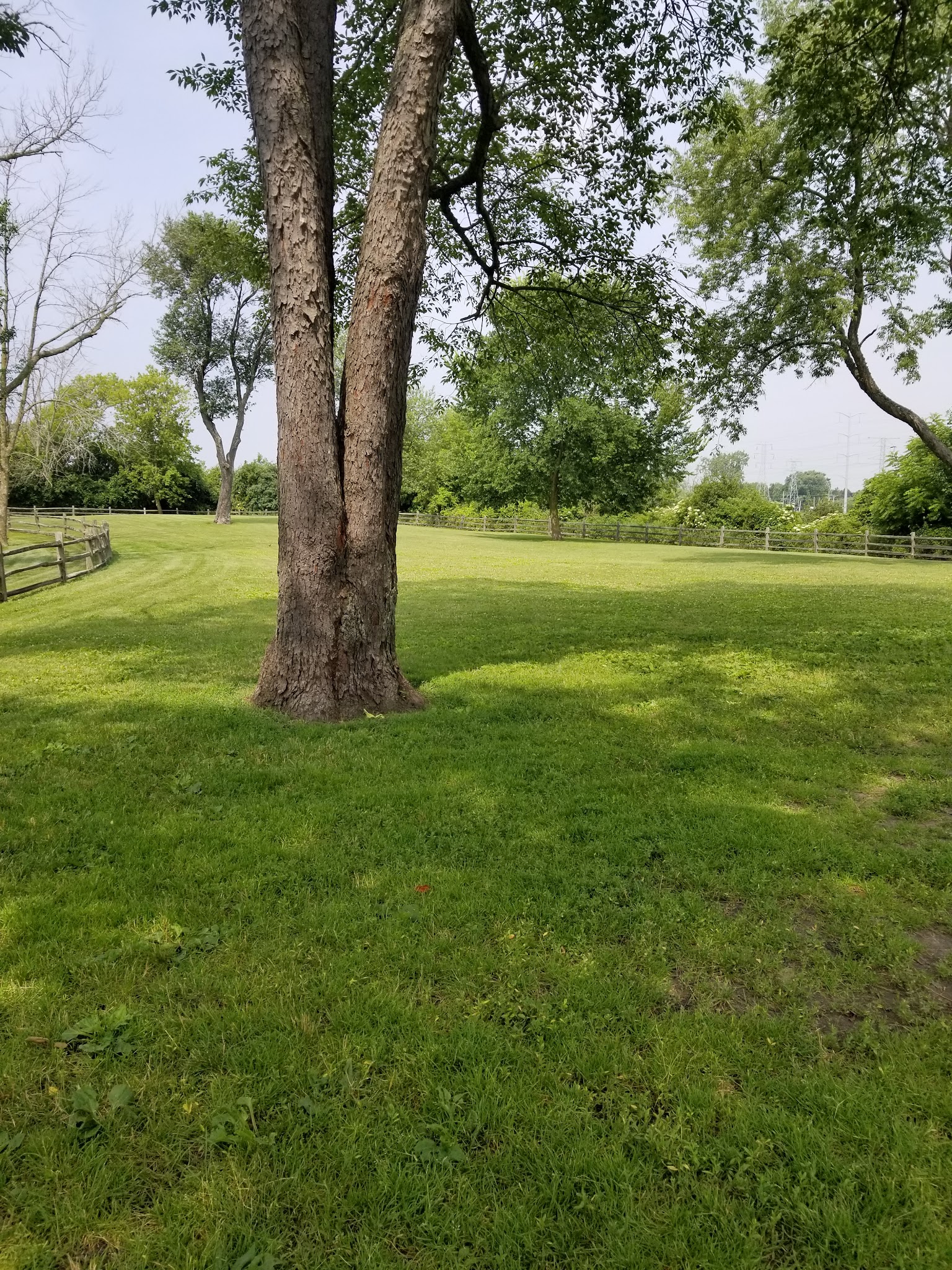 Callahan-Franklin Dog Exercise Area - Waukegan, IL
