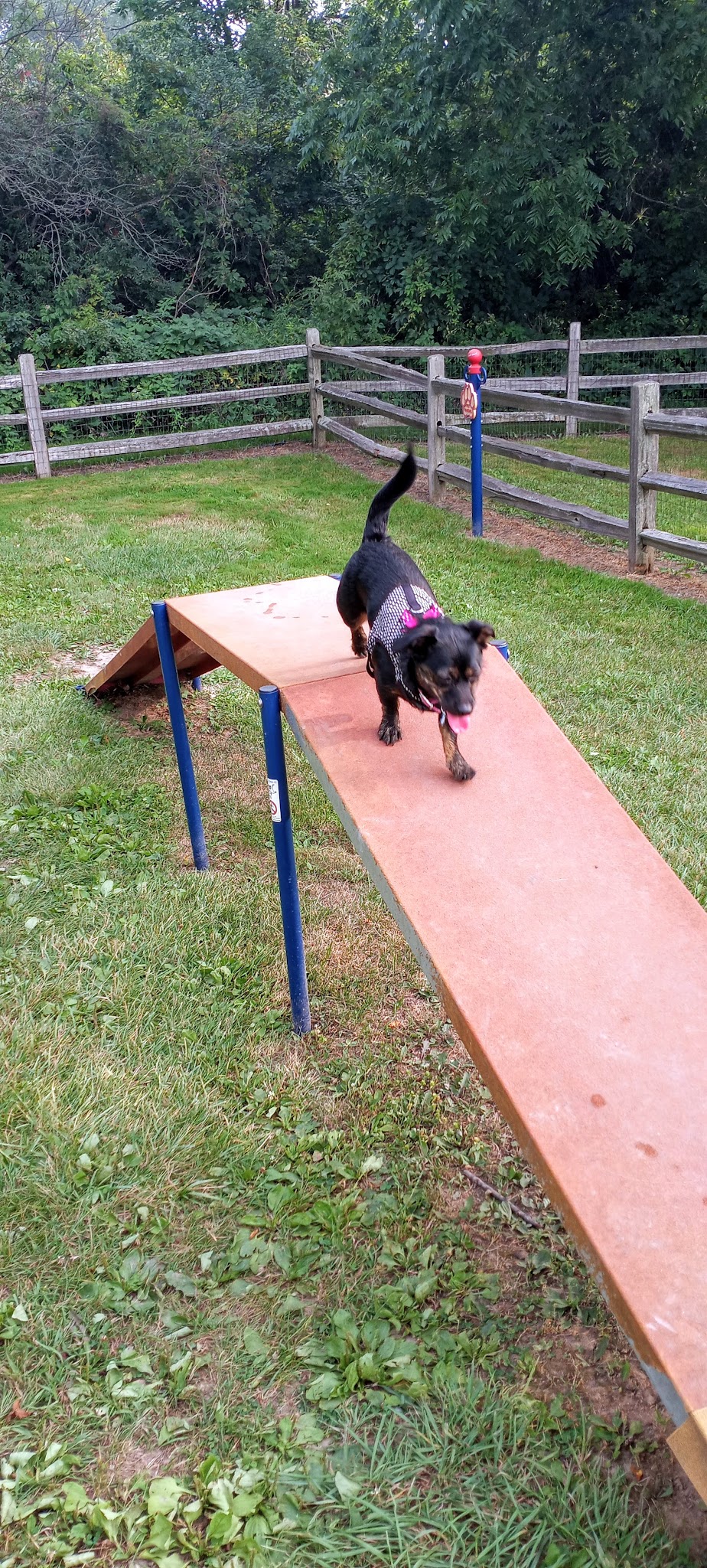 Larsen Nature Preserve And Dog Park - Waukegan, IL