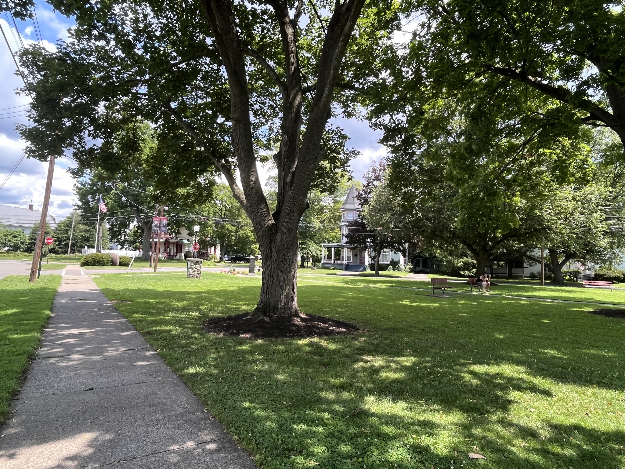Muldoon Park Gazebo - Waverly, NY