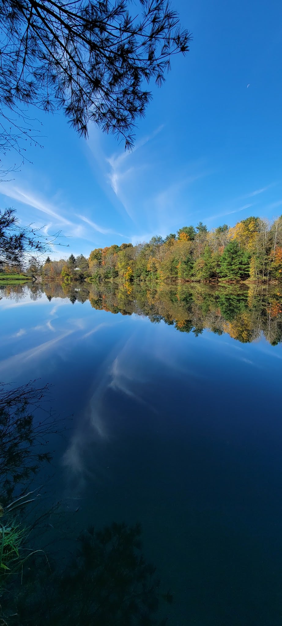 Two Rivers State Park Recreation Area - Waverly, NY