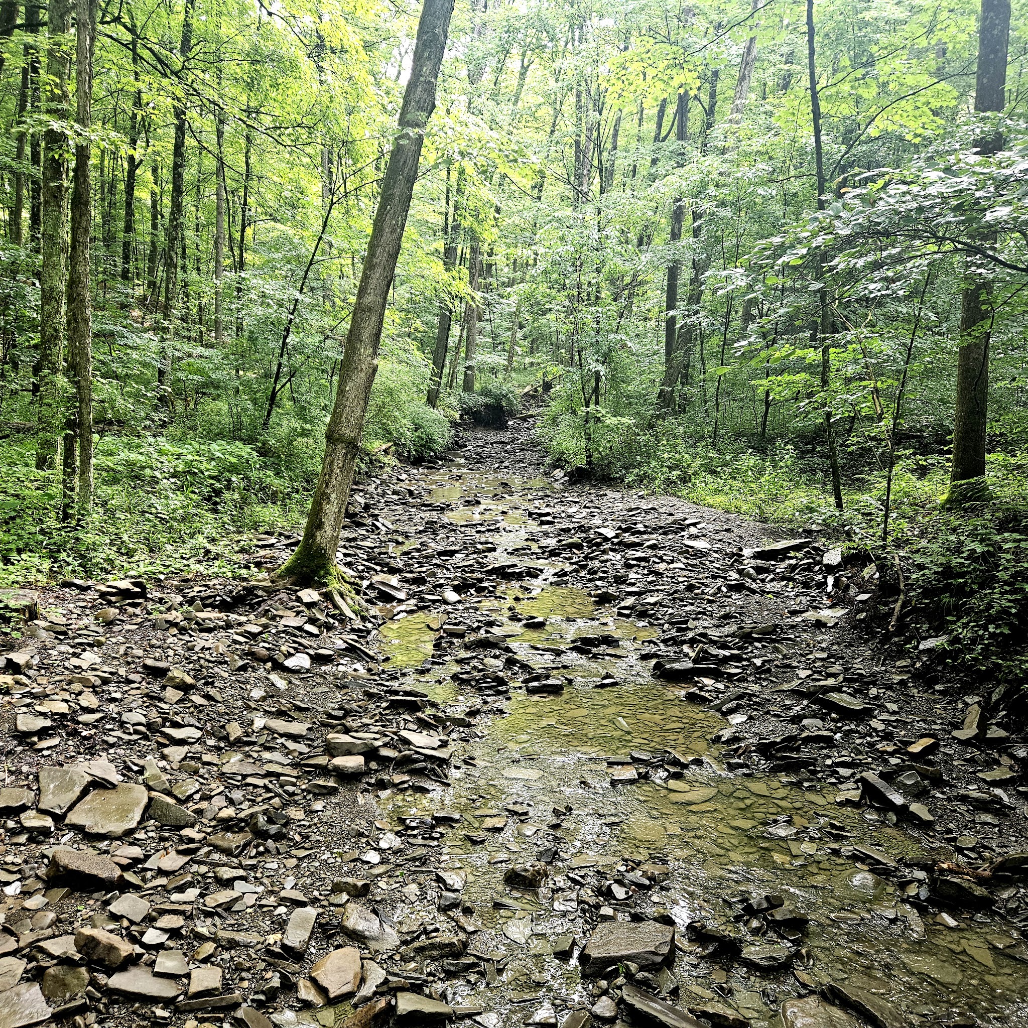 Two Rivers State Park Recreation Area - Waverly, NY