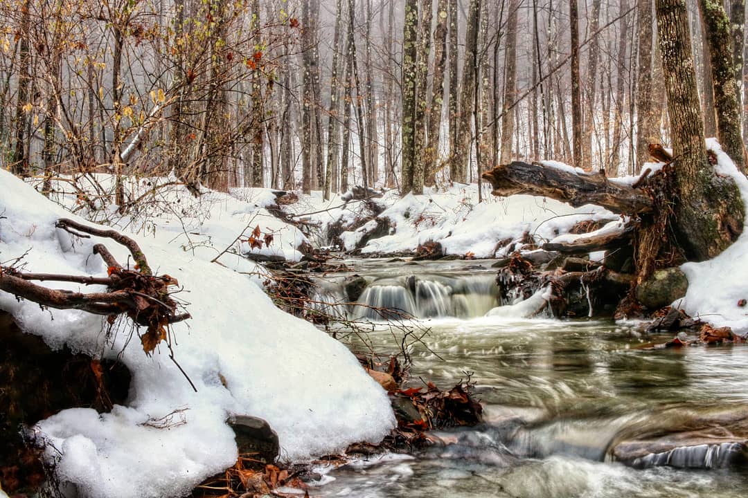 Two Rivers State Park Recreation Area - Waverly, NY
