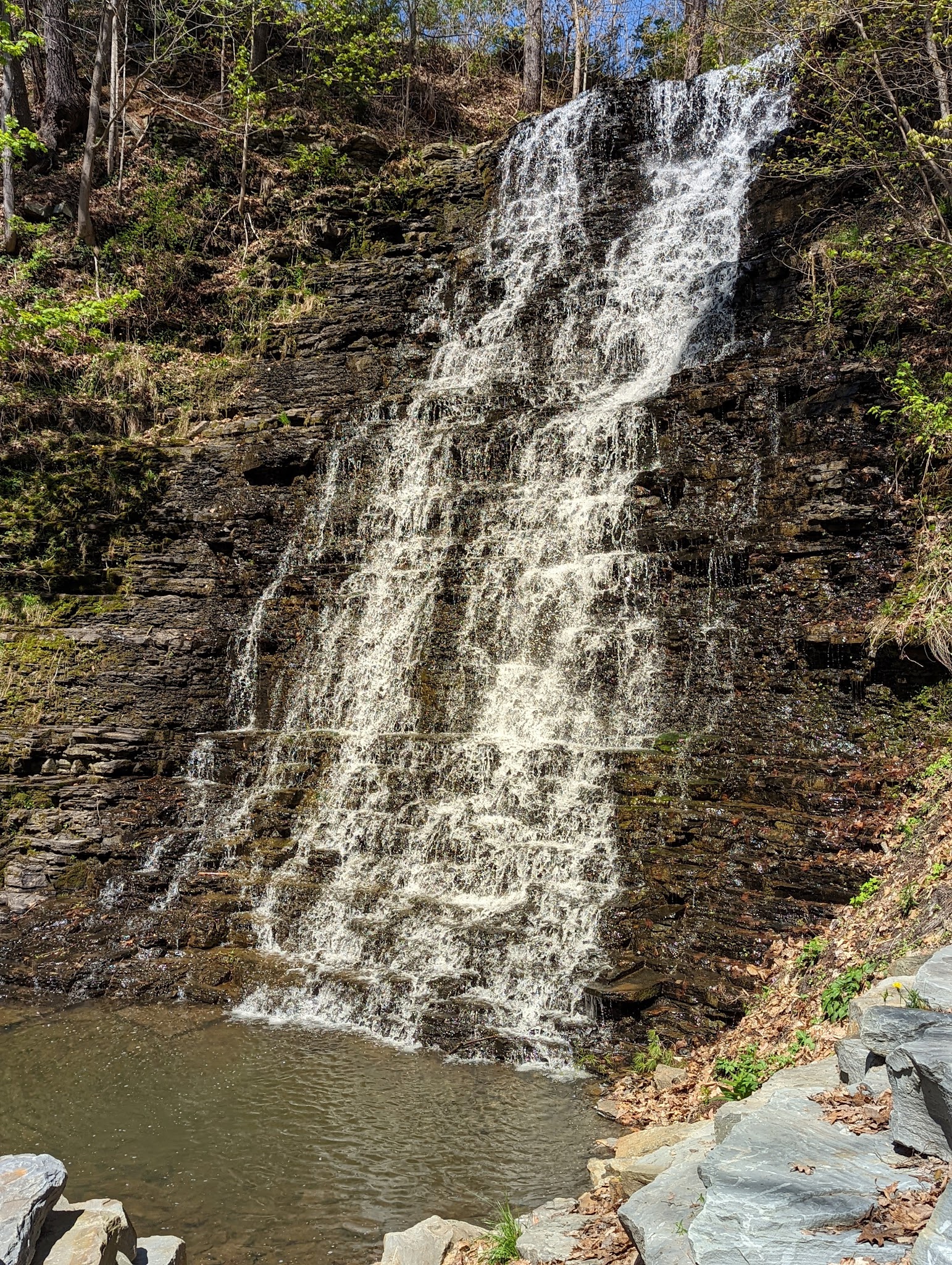 Two Rivers State Park Recreation Area - Waverly, NY