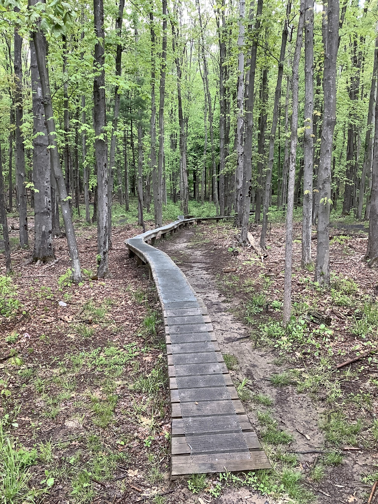 Lippman Park - Wawarsing, NY
