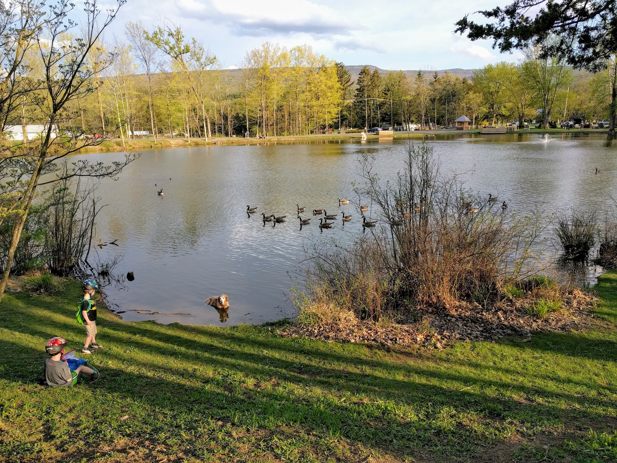 Lippman Park - Wawarsing, NY