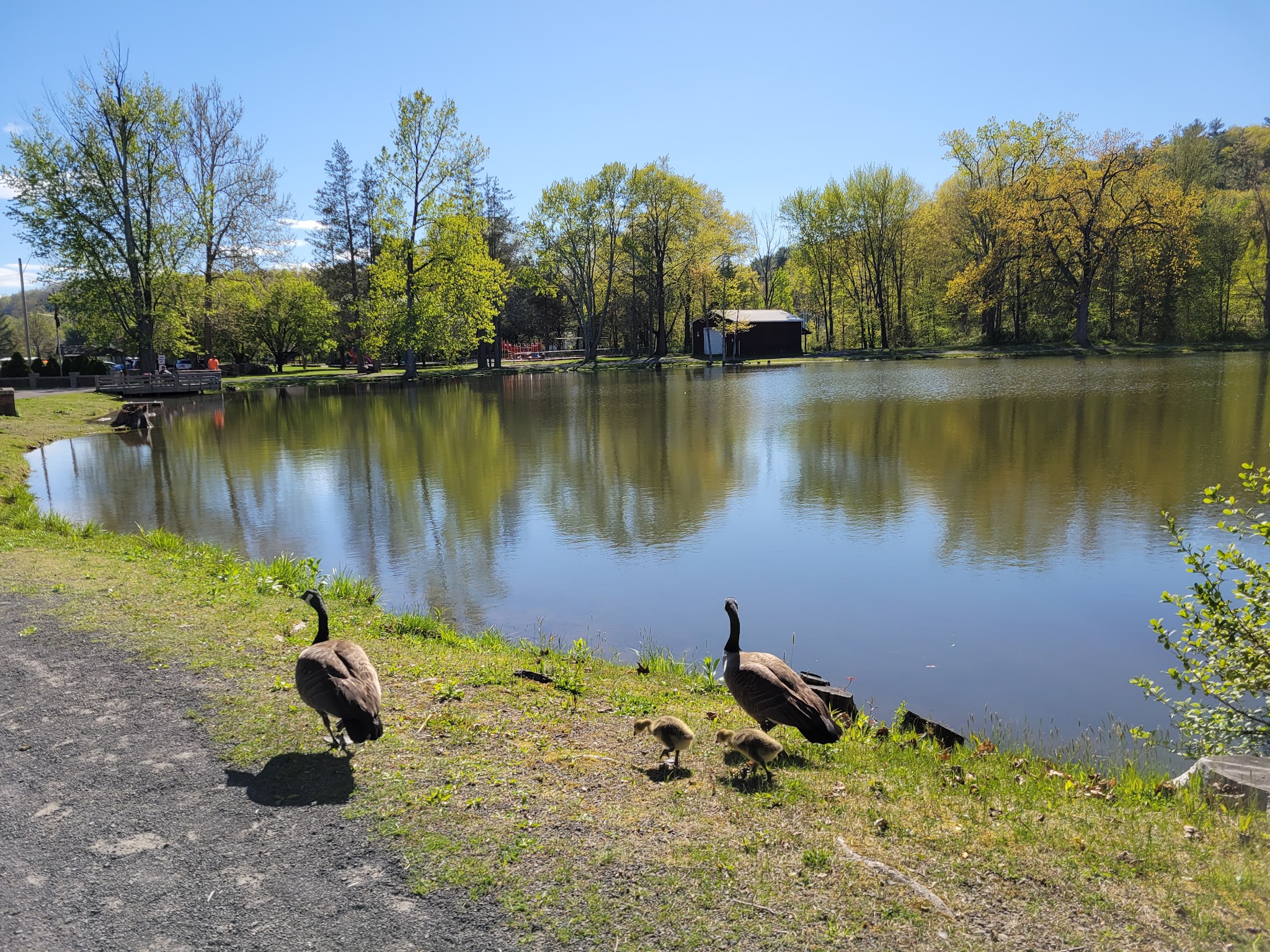 Lippman Park - Wawarsing, NY