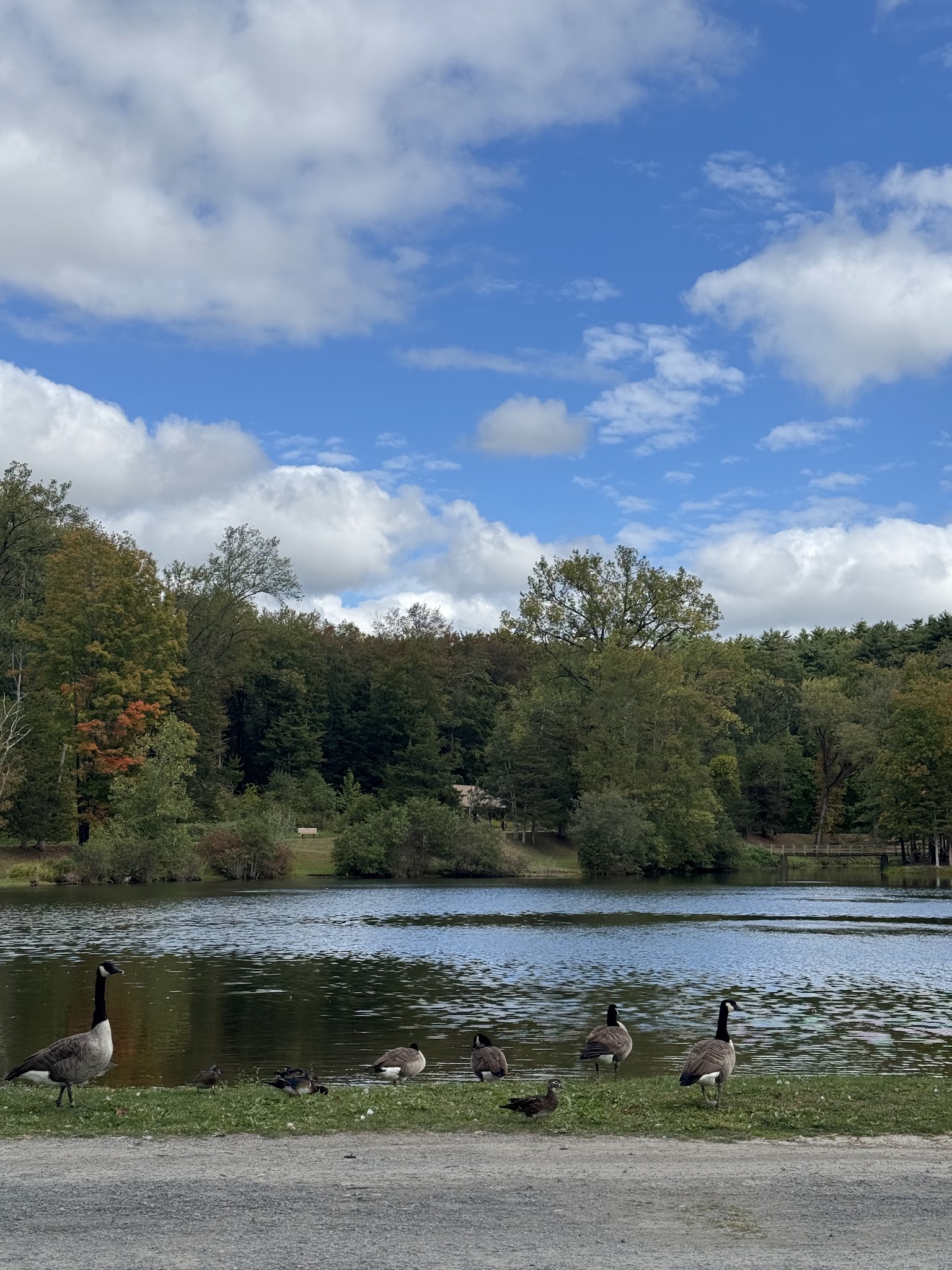 Lippman Park - Wawarsing, NY