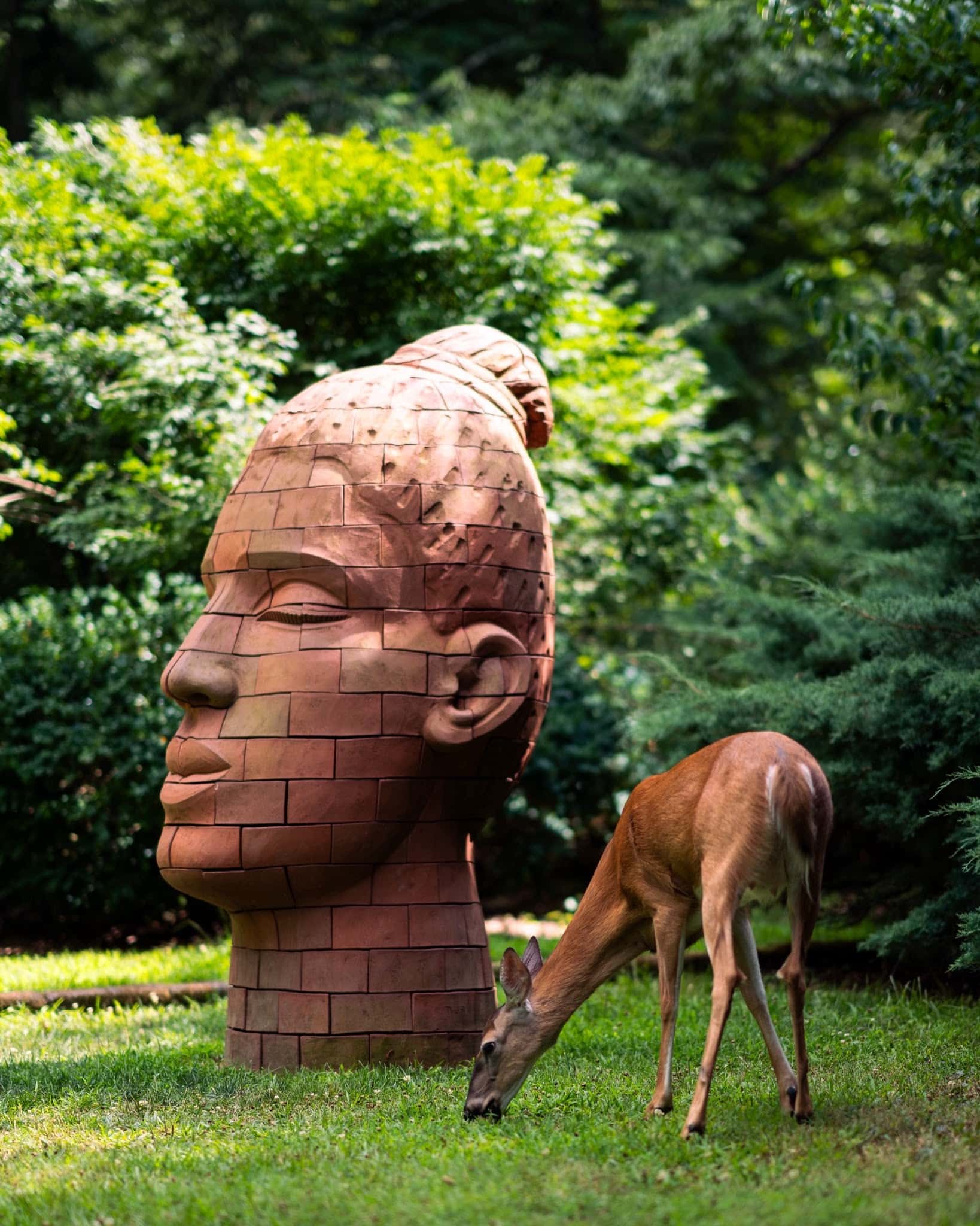 Laurelwood Arboretum - Wayne, NJ