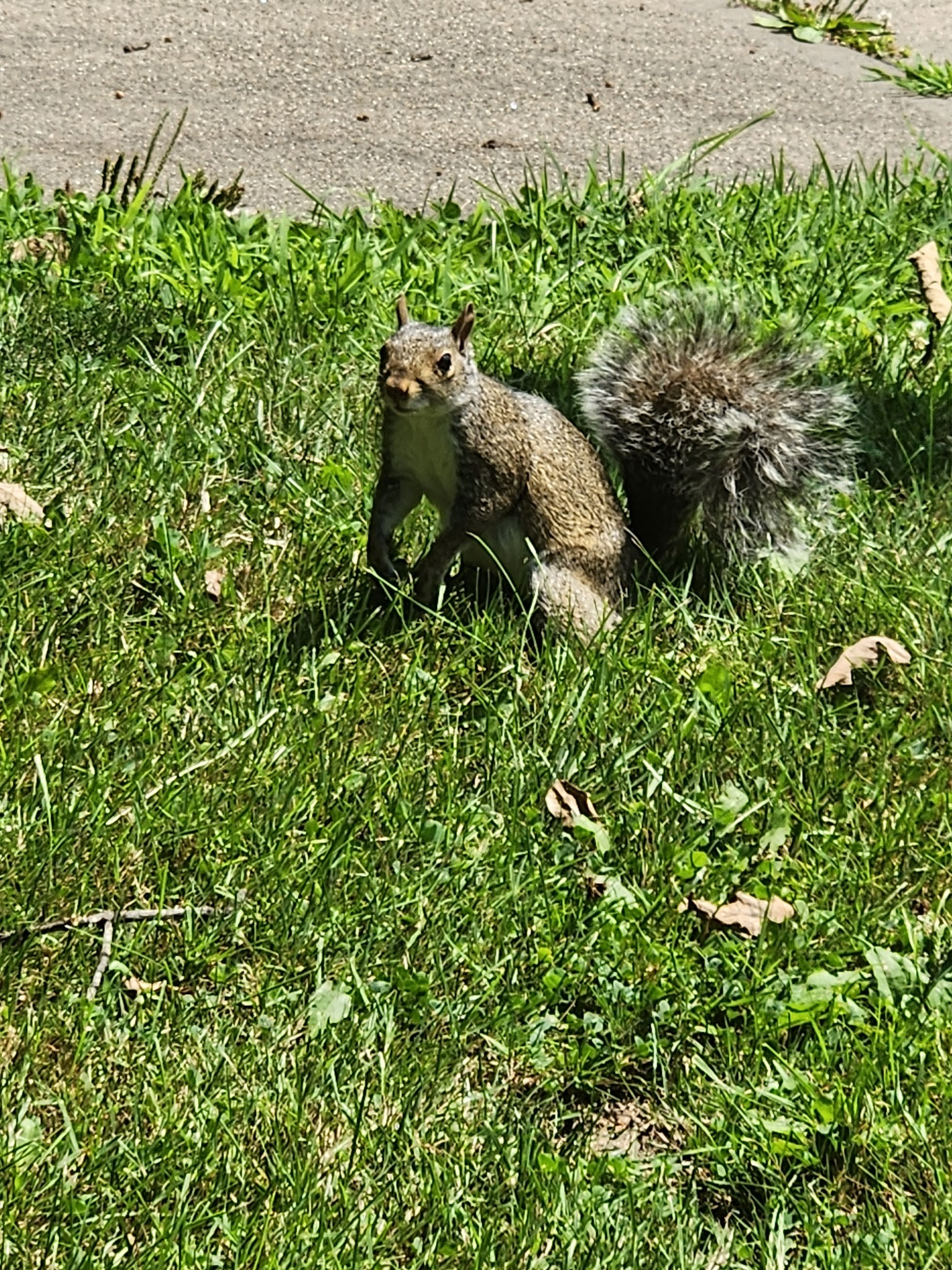 College Park - Waynesburg, PA