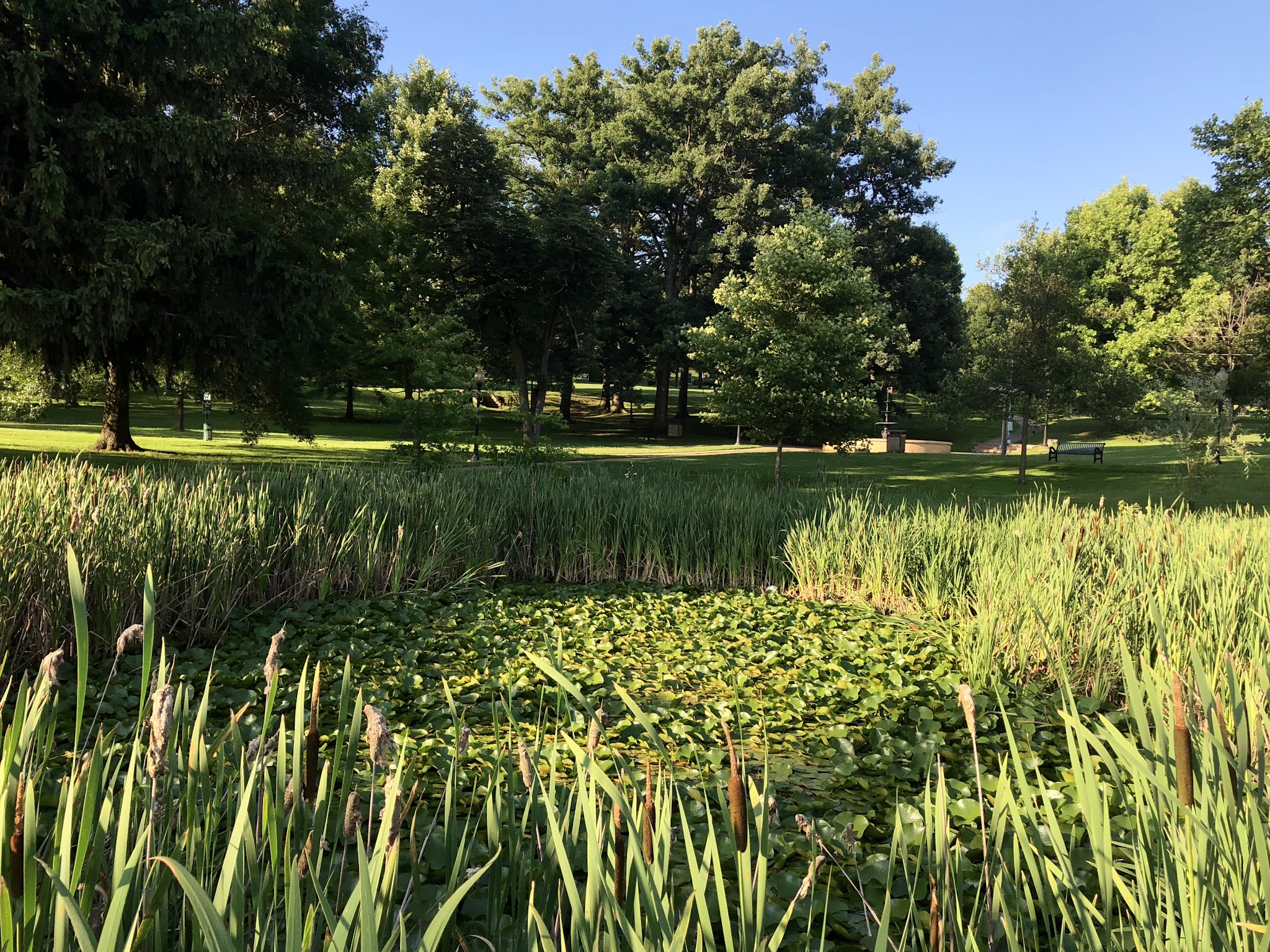 College Park - Waynesburg, PA