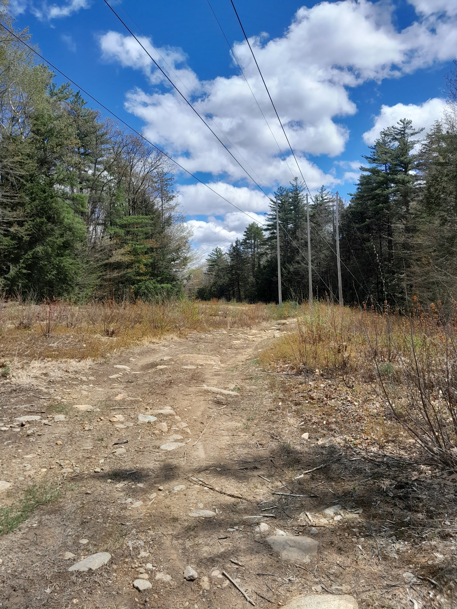 Ferrin Pond Reserve Parking - Weare, NH
